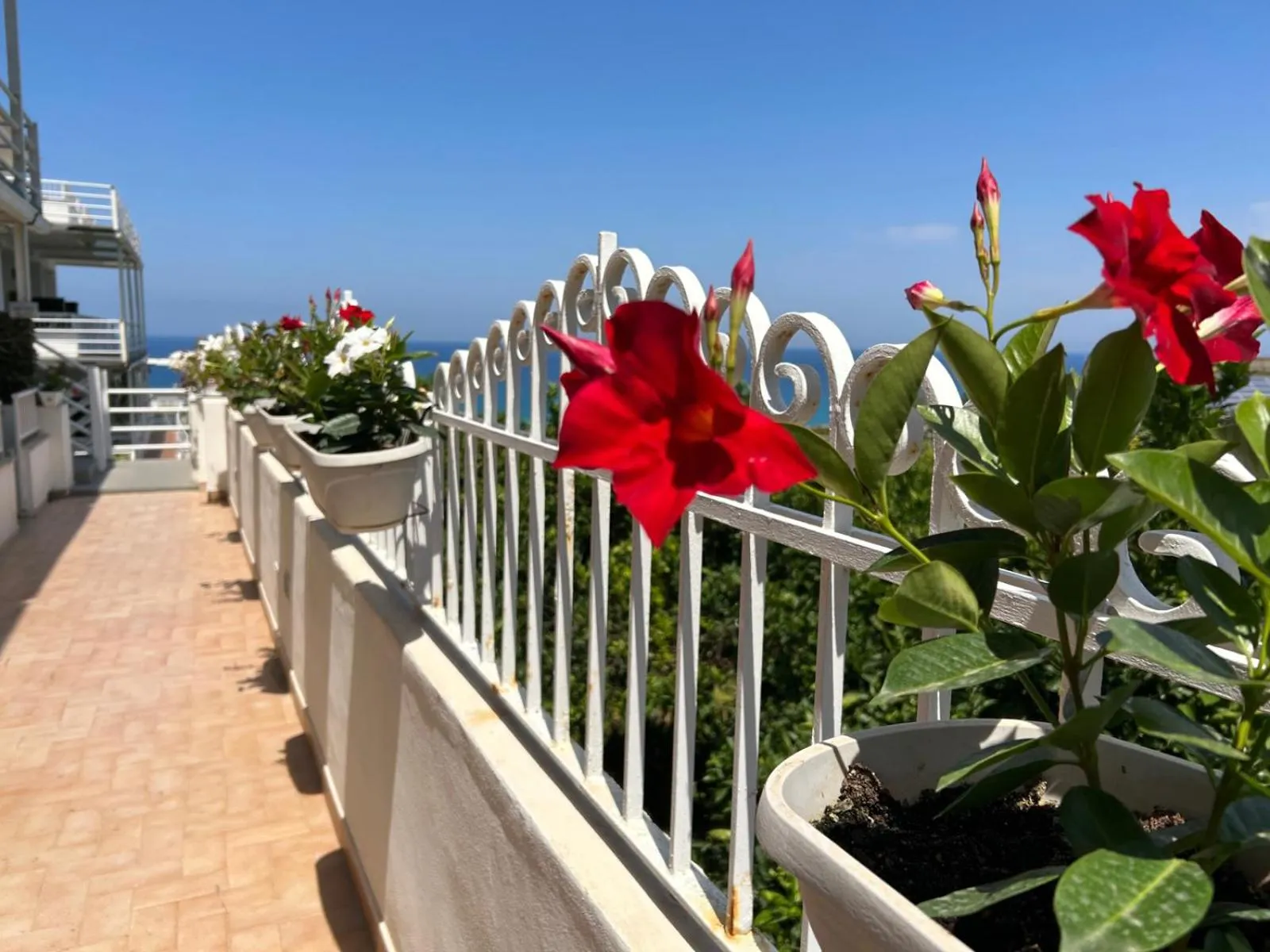 Day in Mediterranean Boutique Hotel