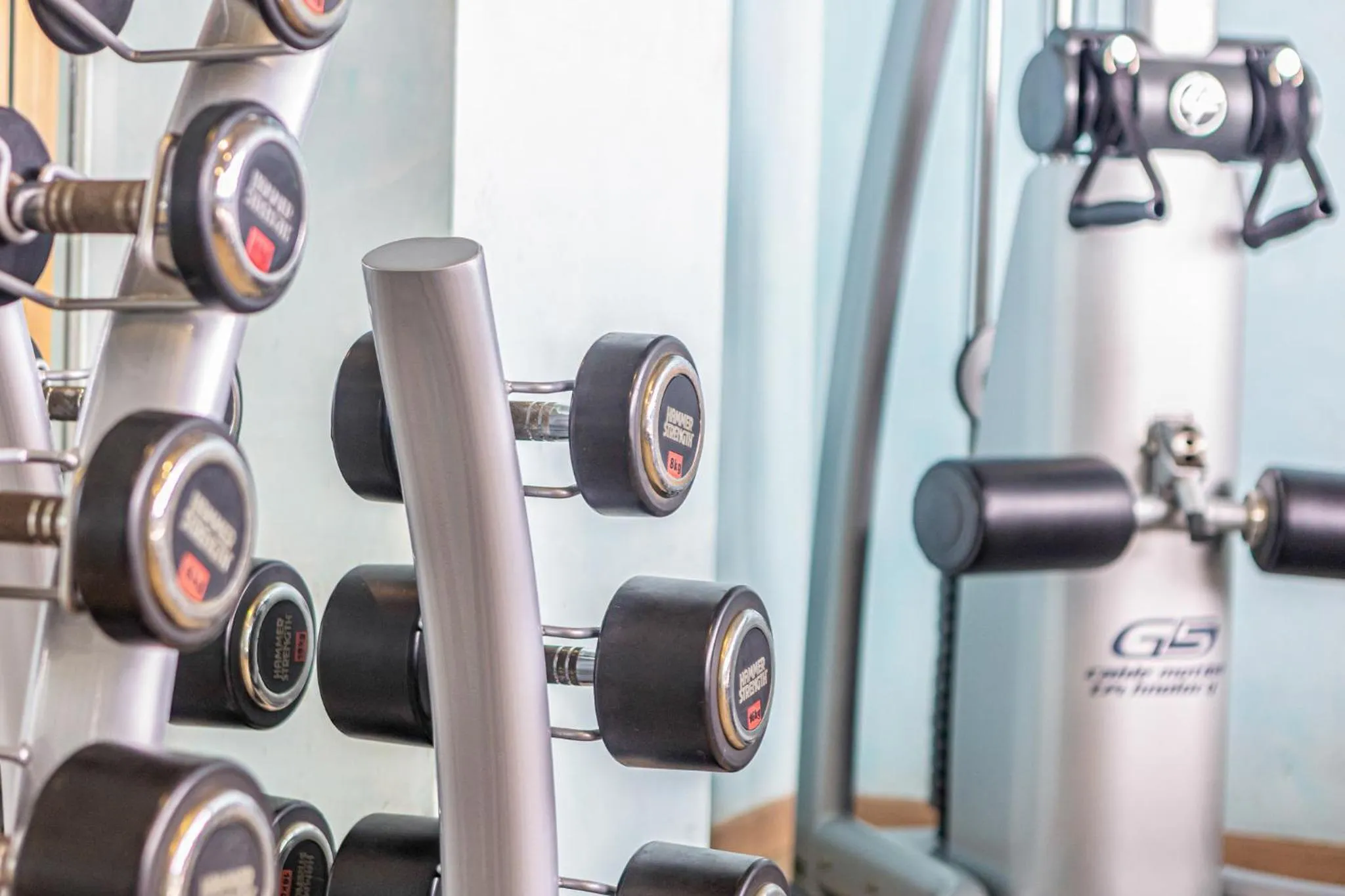 Fitness centre/facilities in Sercotel Las Artes Pinto