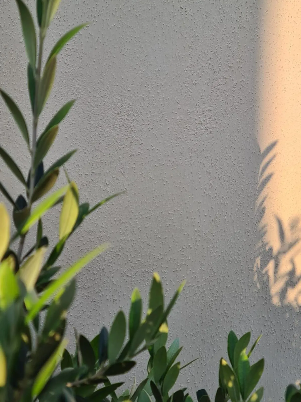 Balcony/Terrace in Hostal Hom Museo