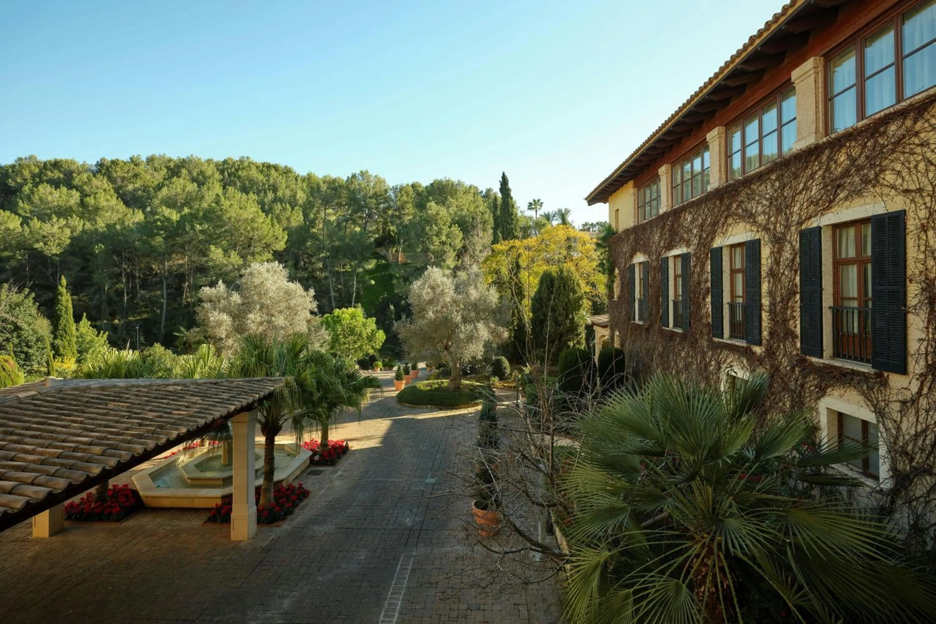 Photo of the whole room in Sheraton Mallorca Arabella Golf Hotel