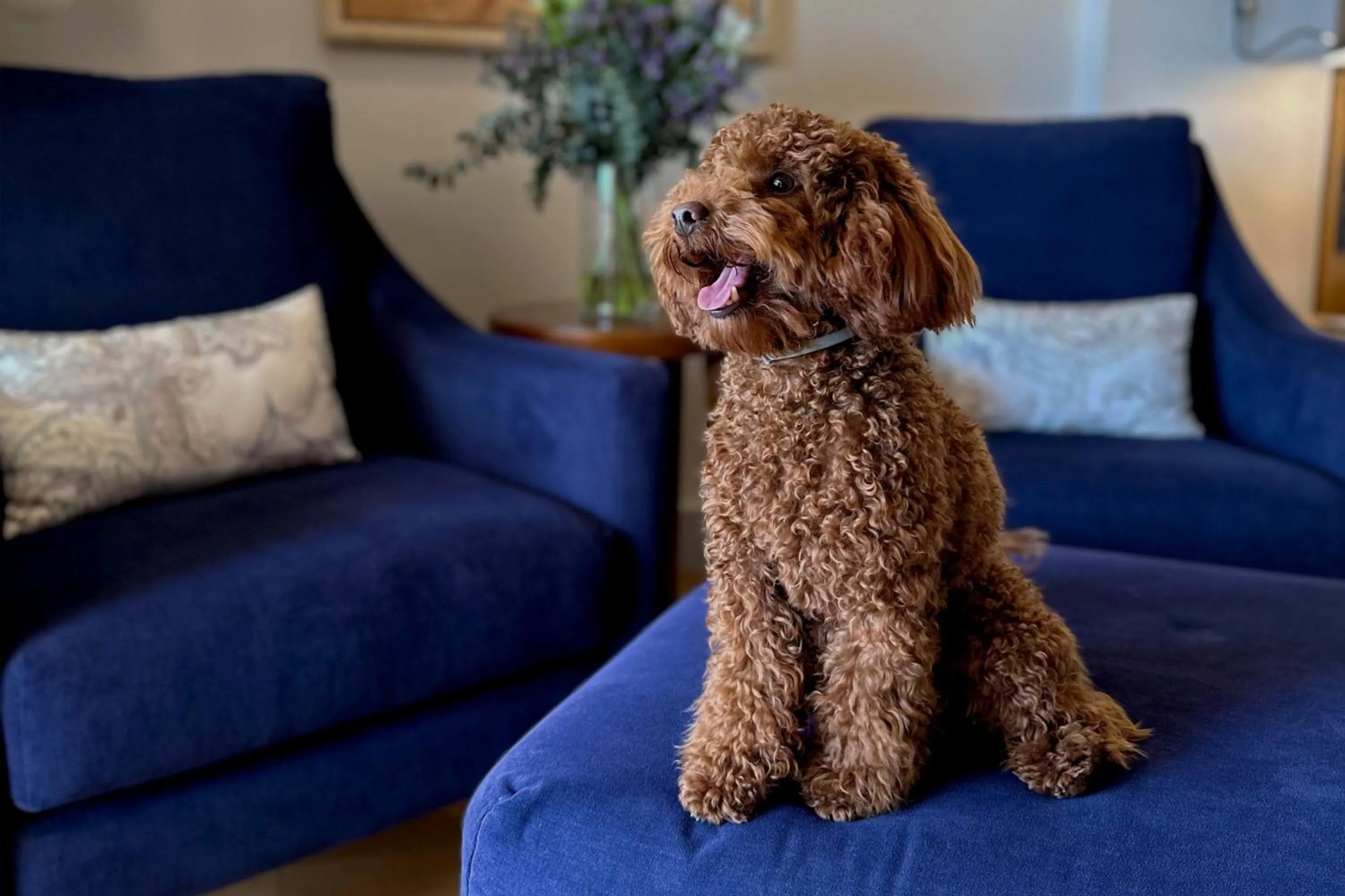 Other in The St. Regis Mardavall Mallorca Resort