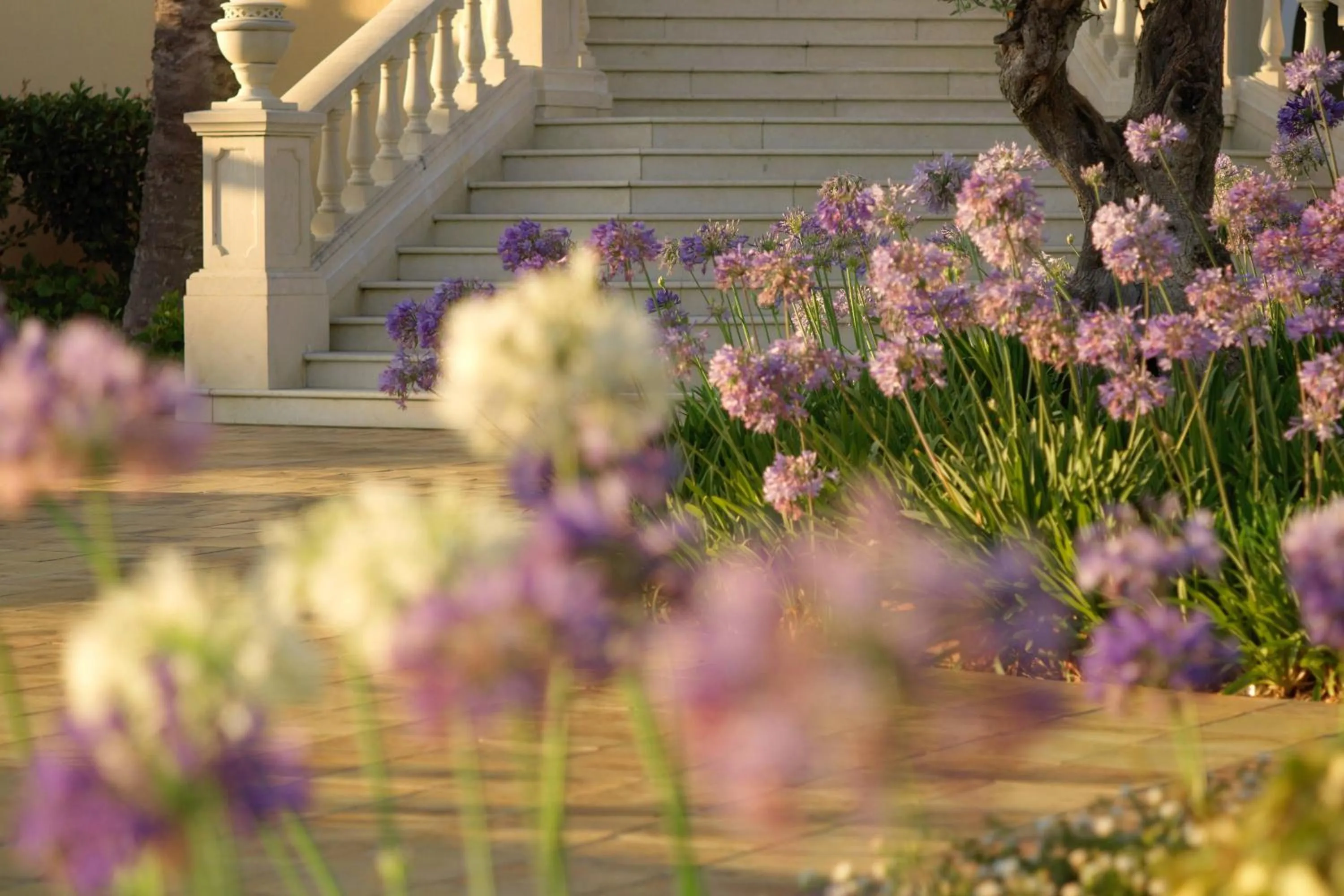 View (from property/room) in The St. Regis Mardavall Mallorca Resort