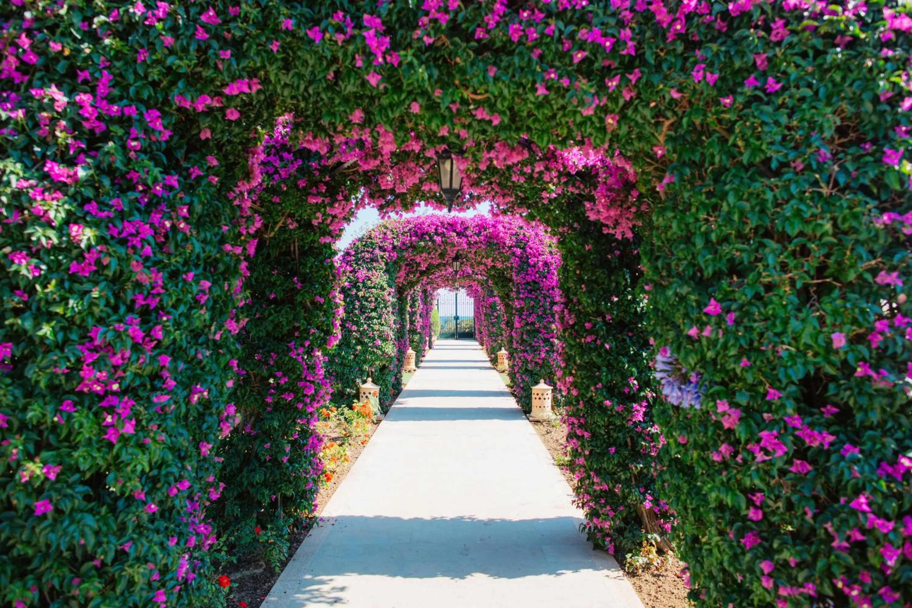 View (from property/room) in The St. Regis Mardavall Mallorca Resort