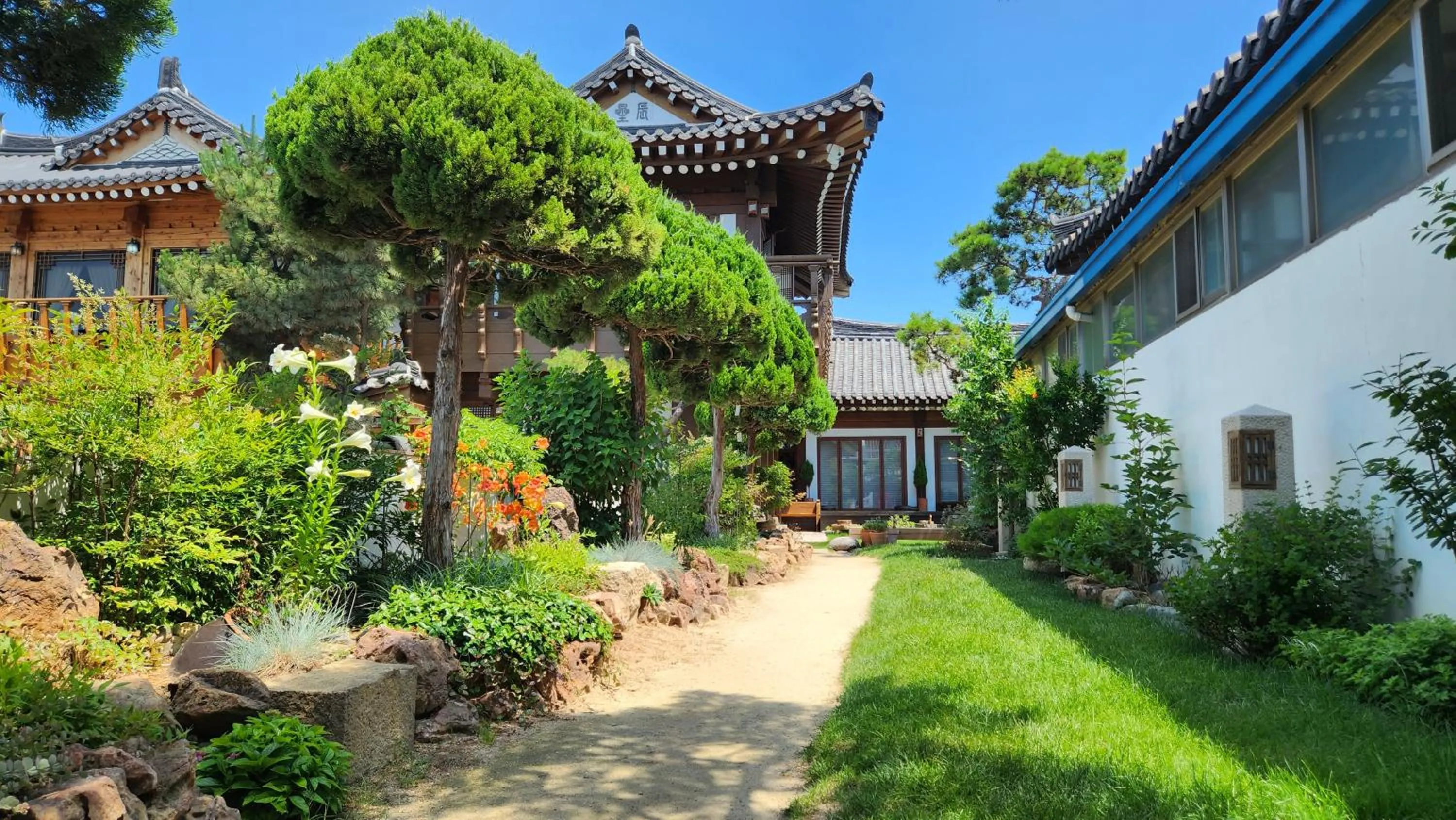 Garden view in HanokInn