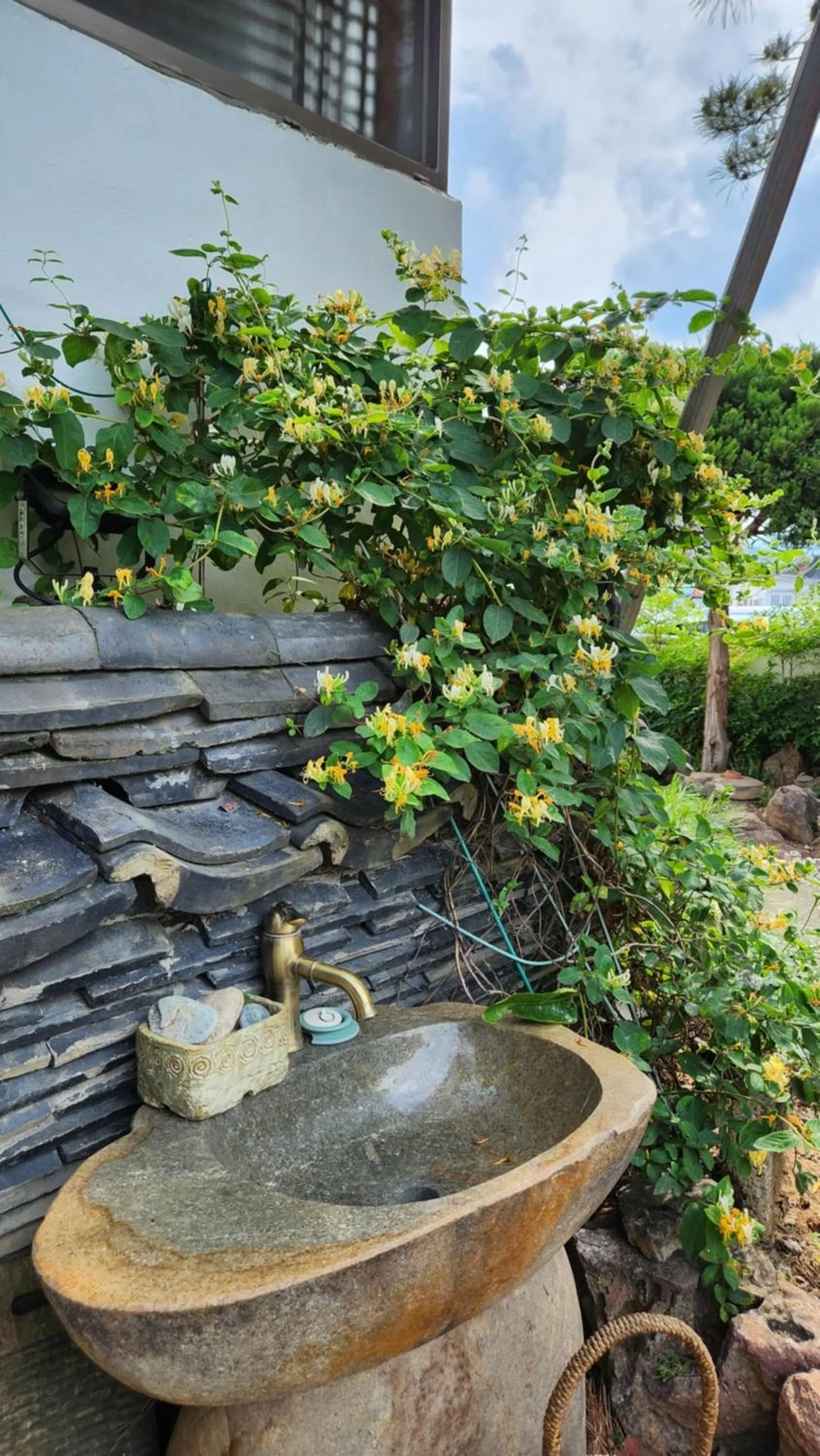 Garden view in HanokInn