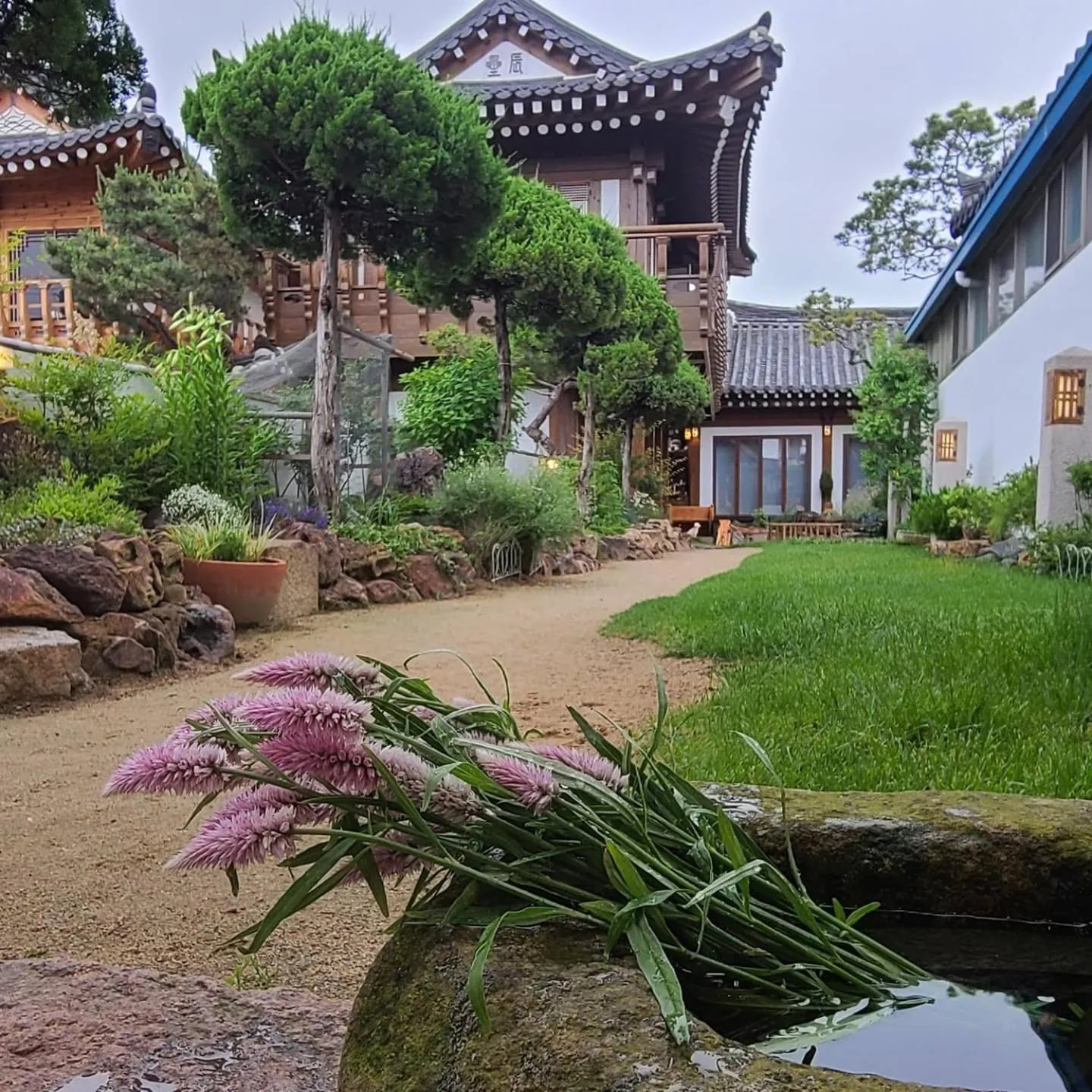 View (from property/room) in HanokInn