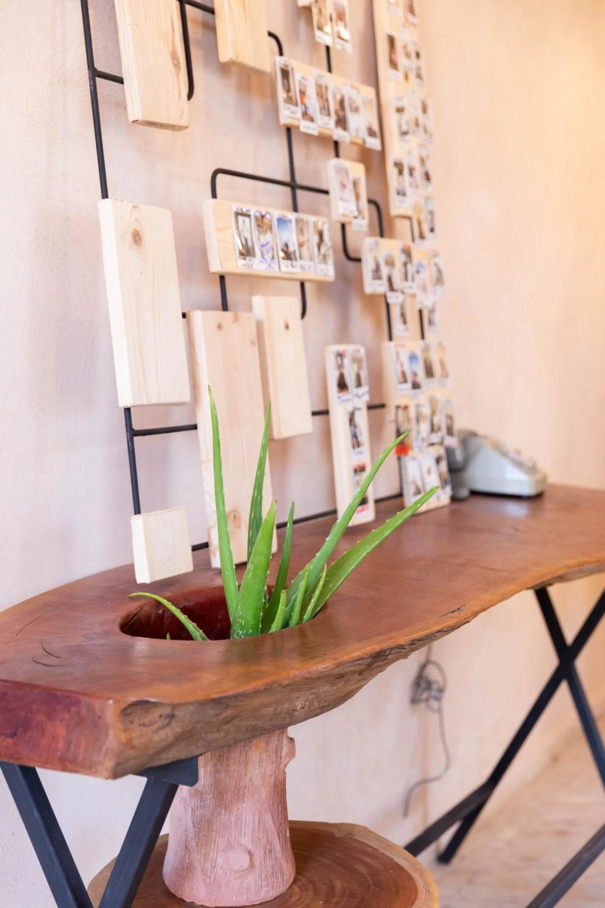 Lobby or reception in Surf and Sound Imsouane