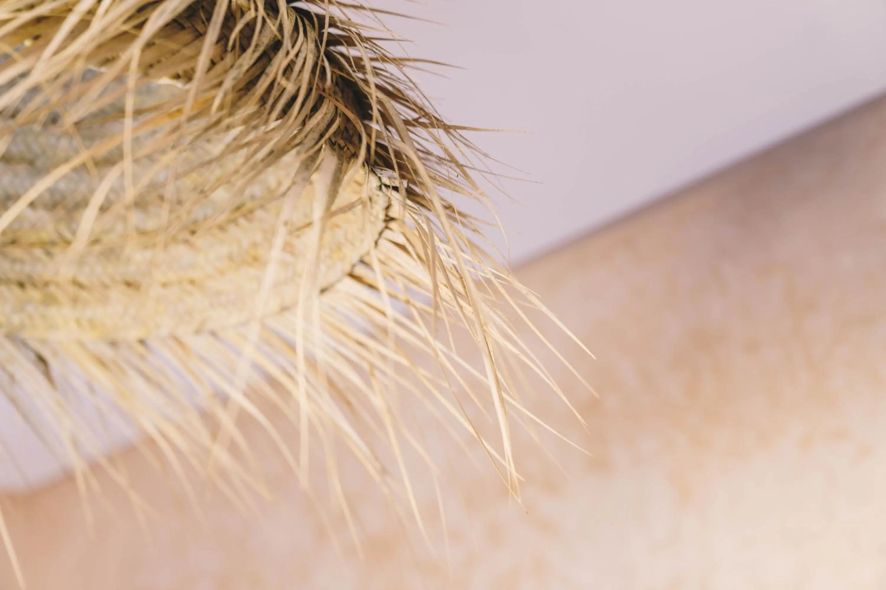 Decorative detail in Surf and Sound Imsouane