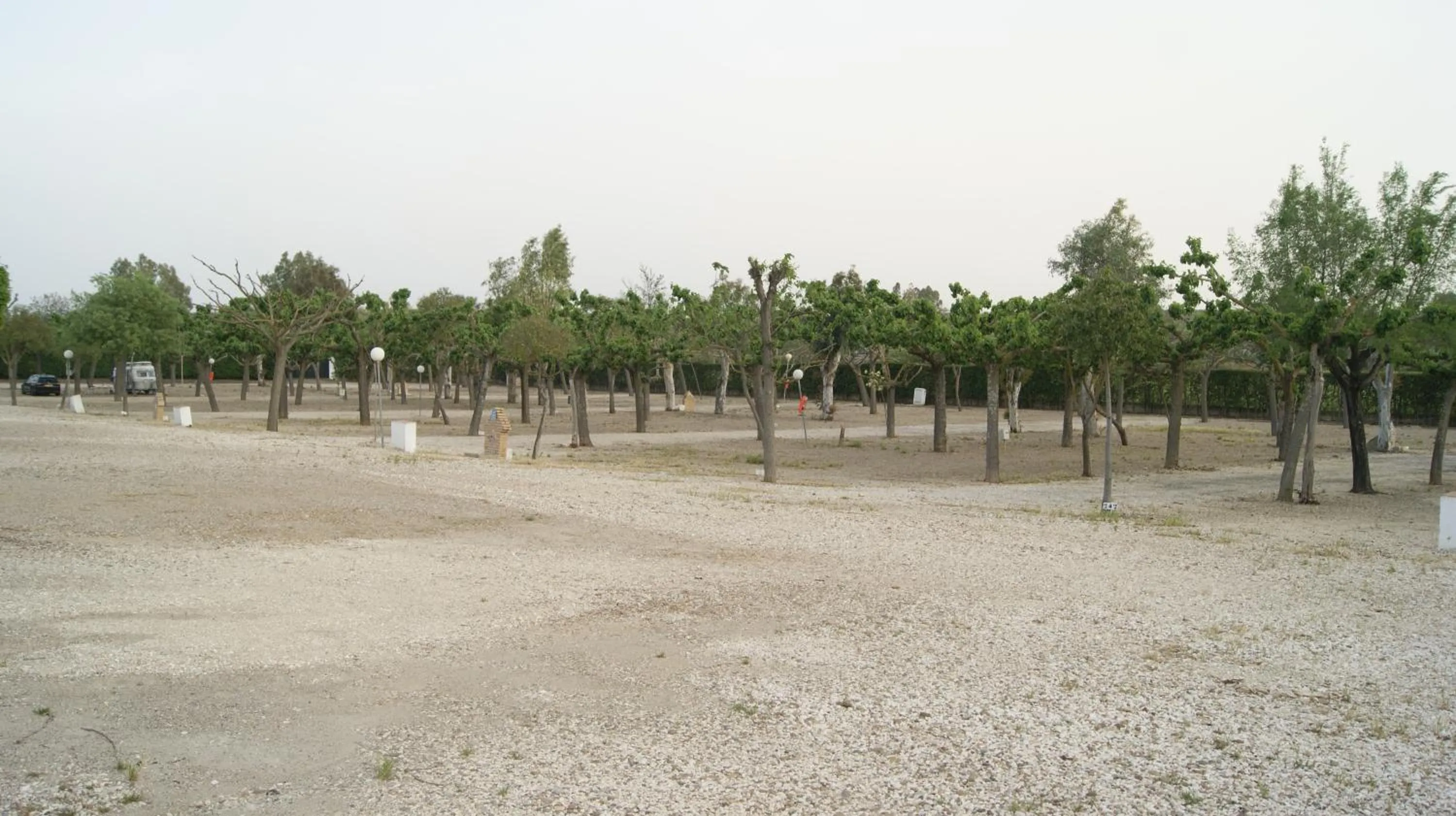 Natural landscape in Camping Carlos III