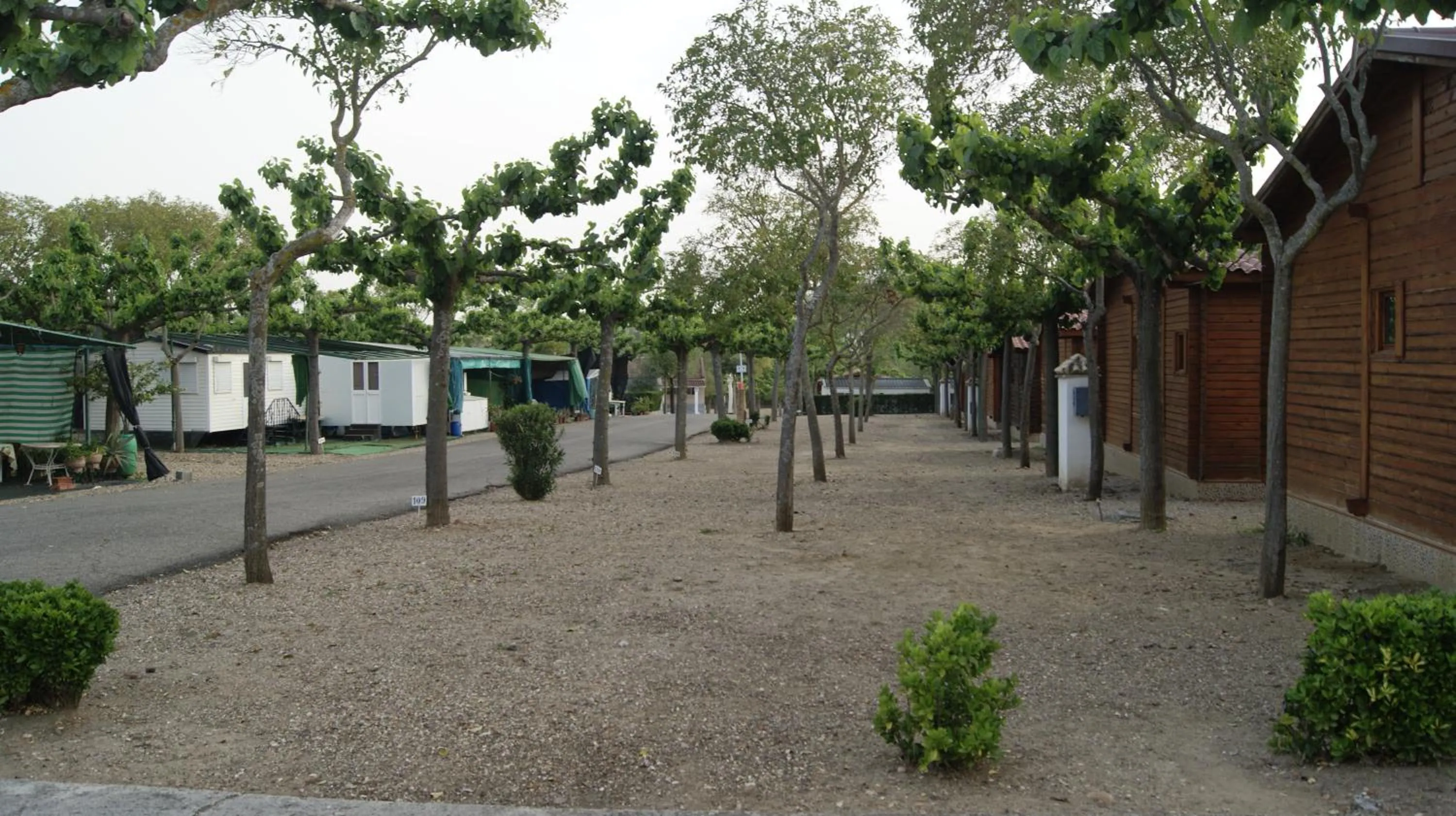 Day in Camping Carlos III