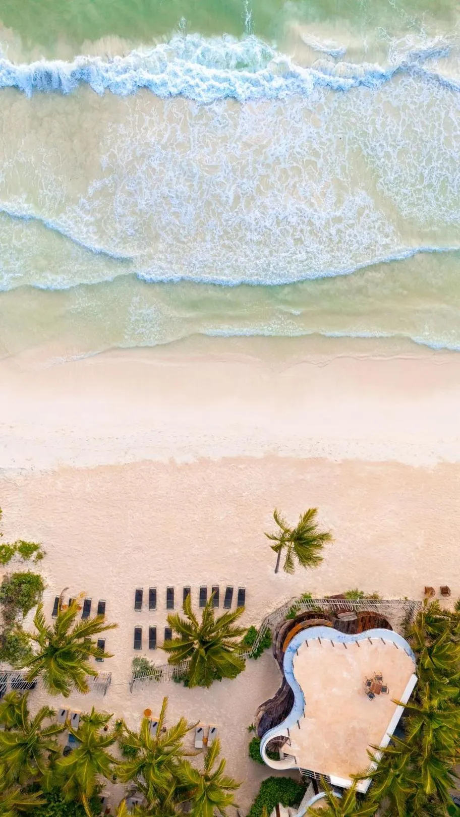 Beach in Secrets Tulum Resort & Beach Club - Adults Only - All Inclusive