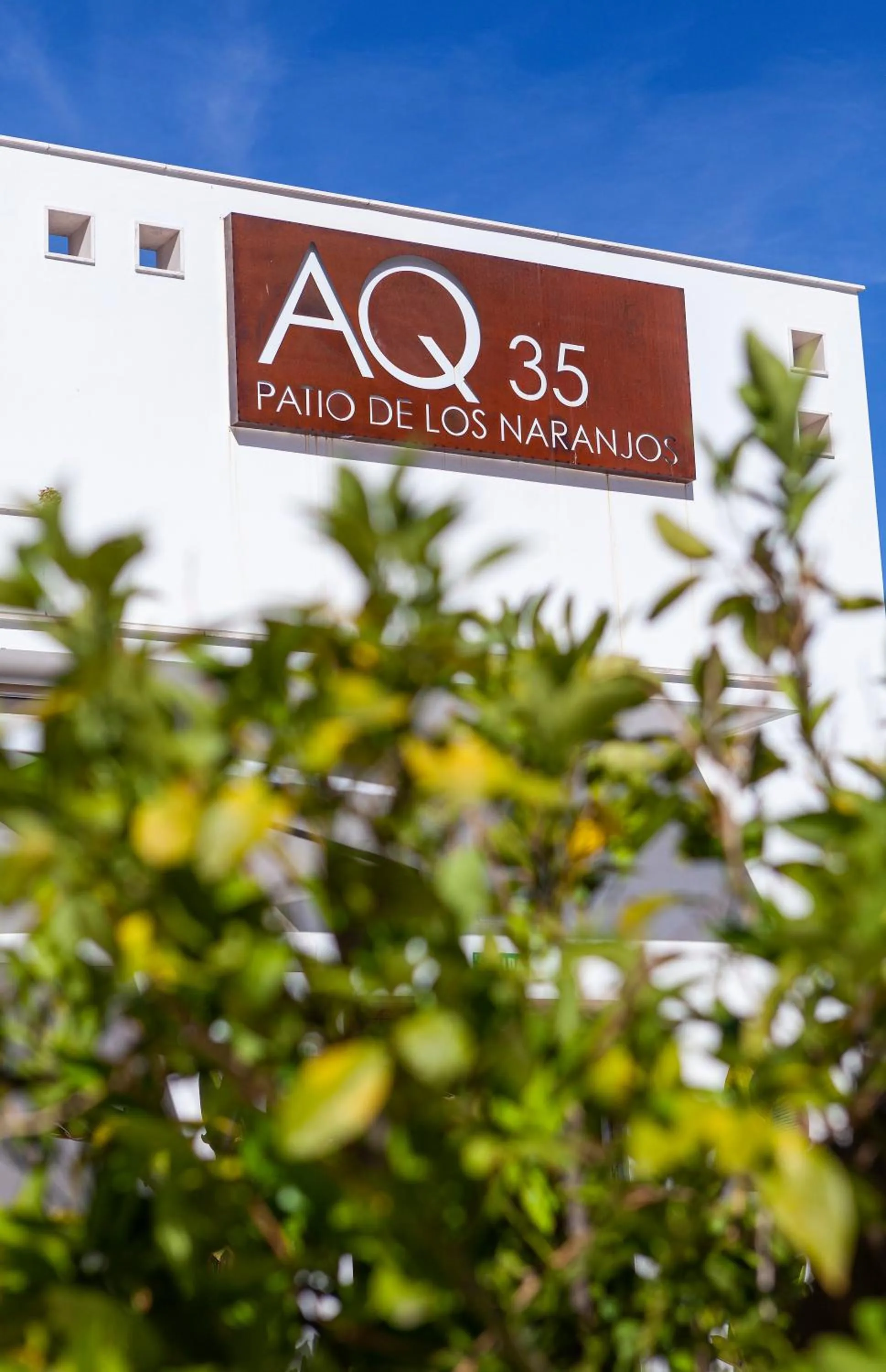 Restaurant/places to eat in Hotel Jerez & Spa