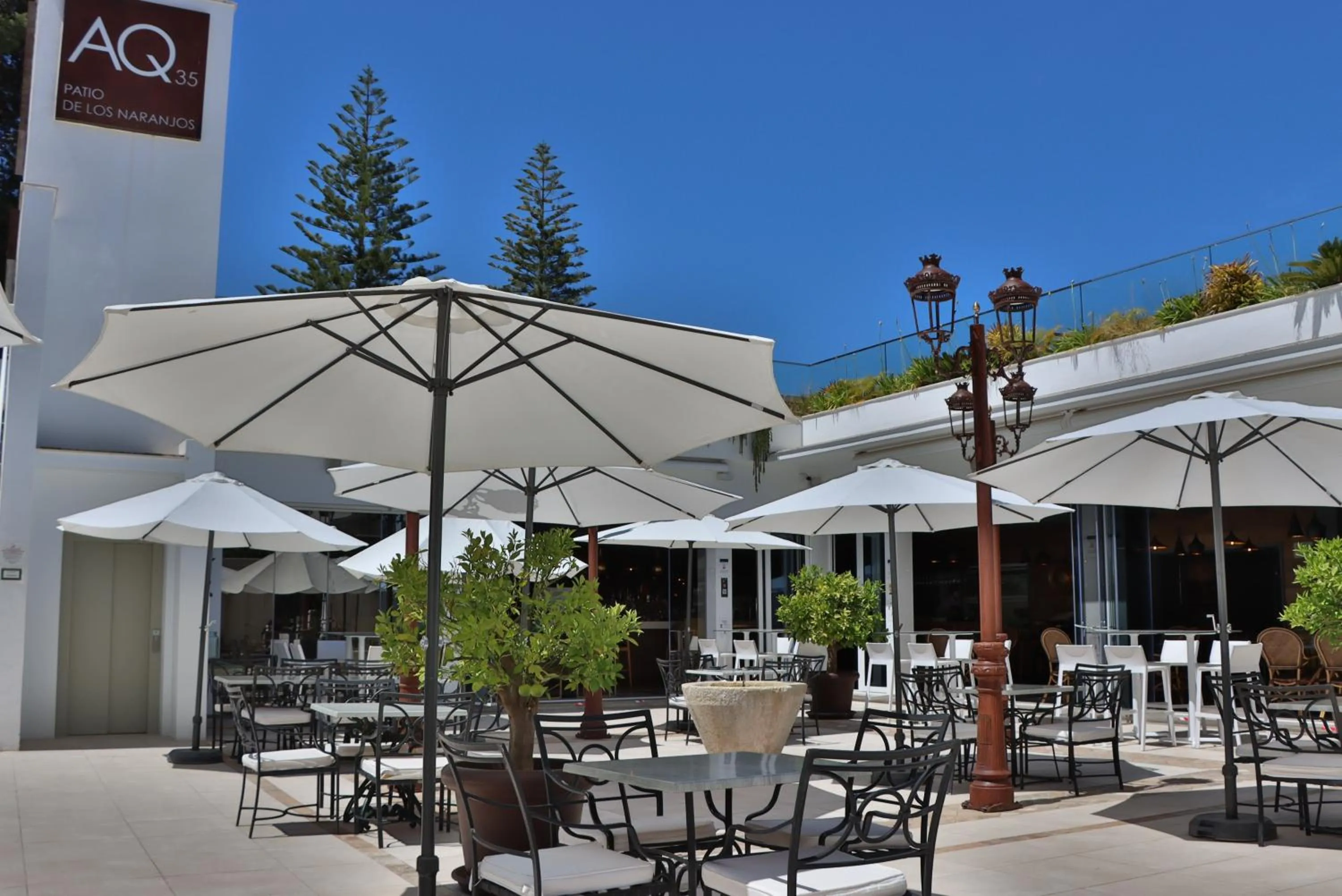 Restaurant/places to eat in Hotel Jerez & Spa