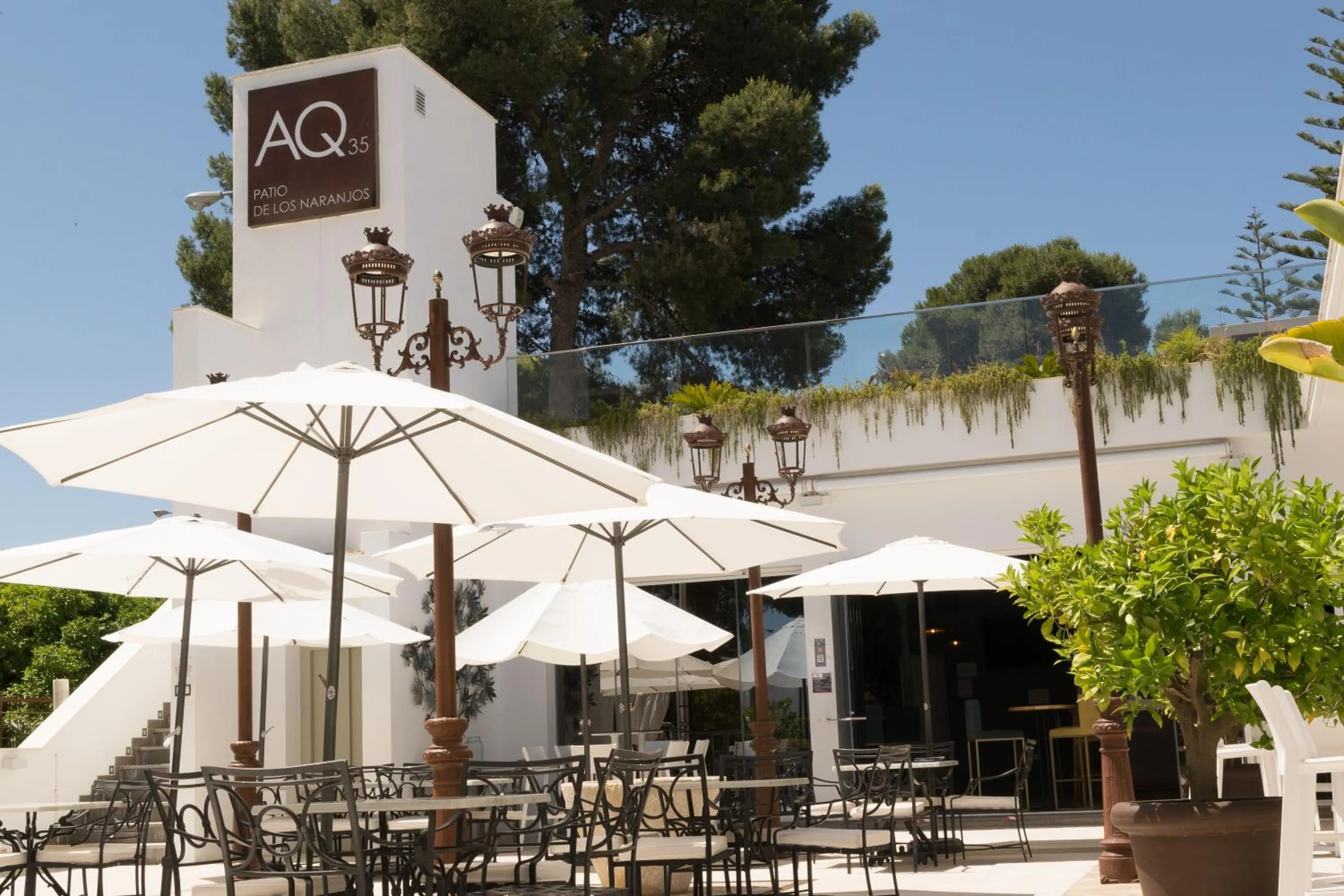 Restaurant/places to eat in Hotel Jerez & Spa