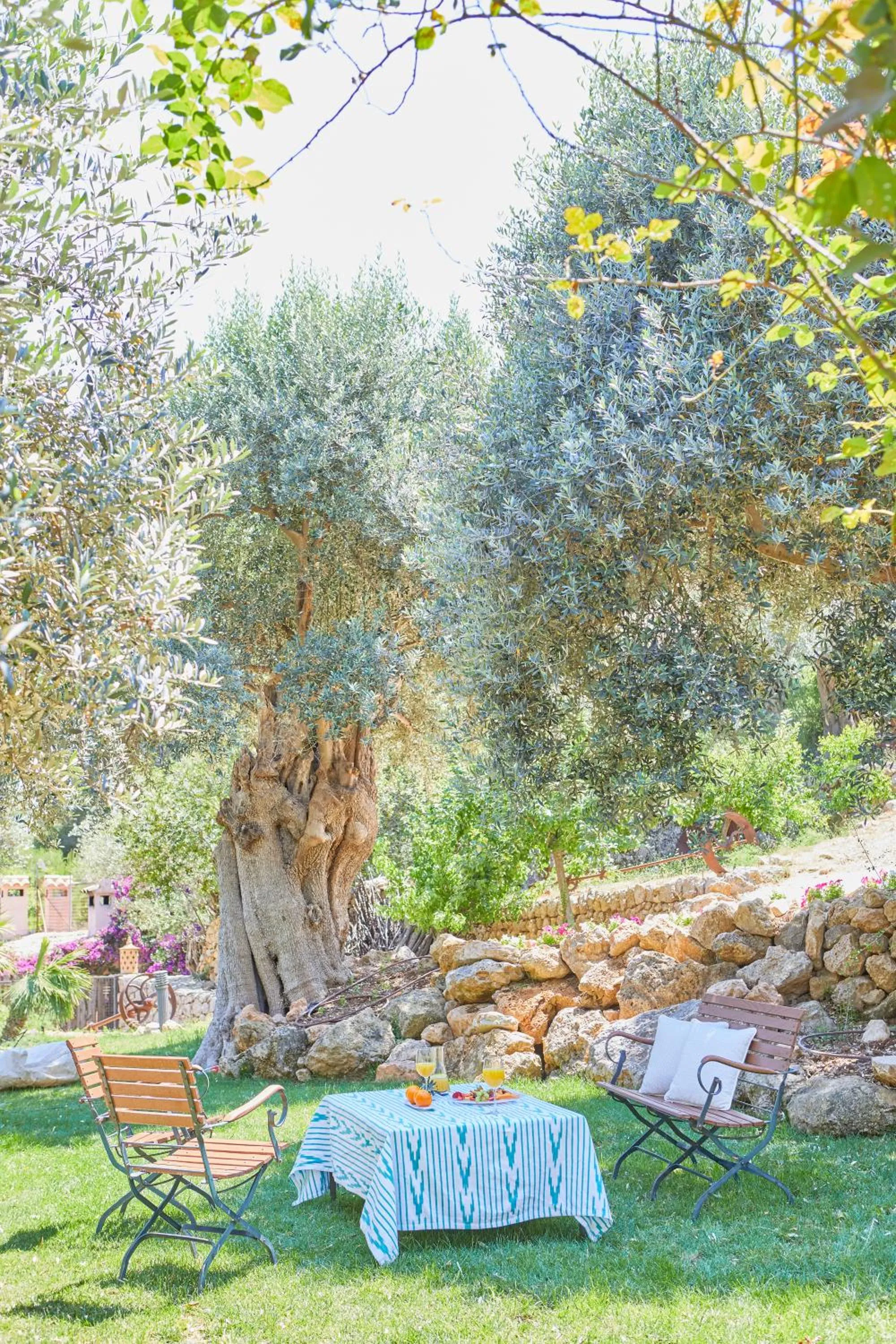 Restaurant/places to eat in Hotel Rural S'Olivaret & Spa