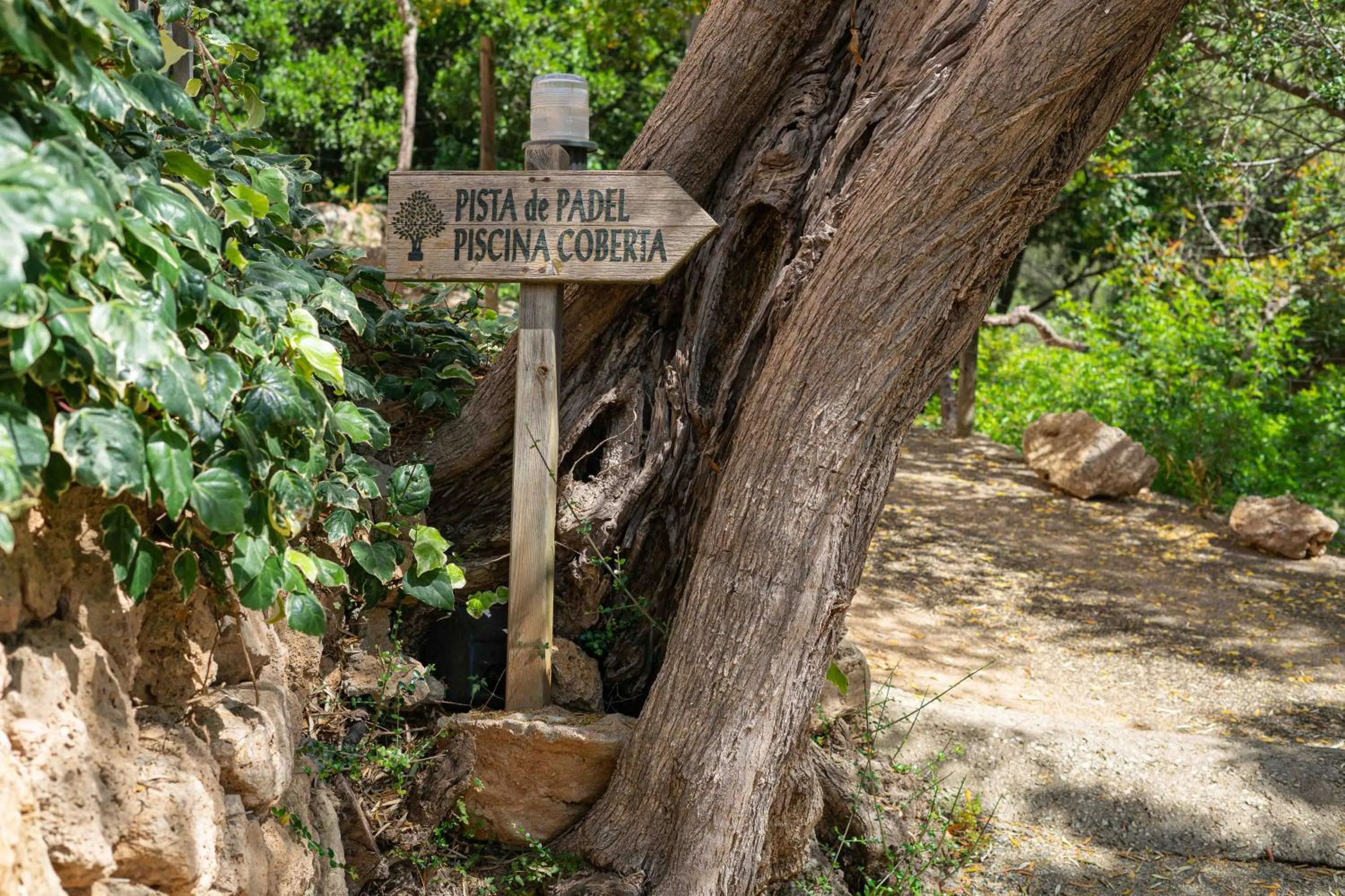 Nearby landmark in Hotel Rural S'Olivaret & Spa