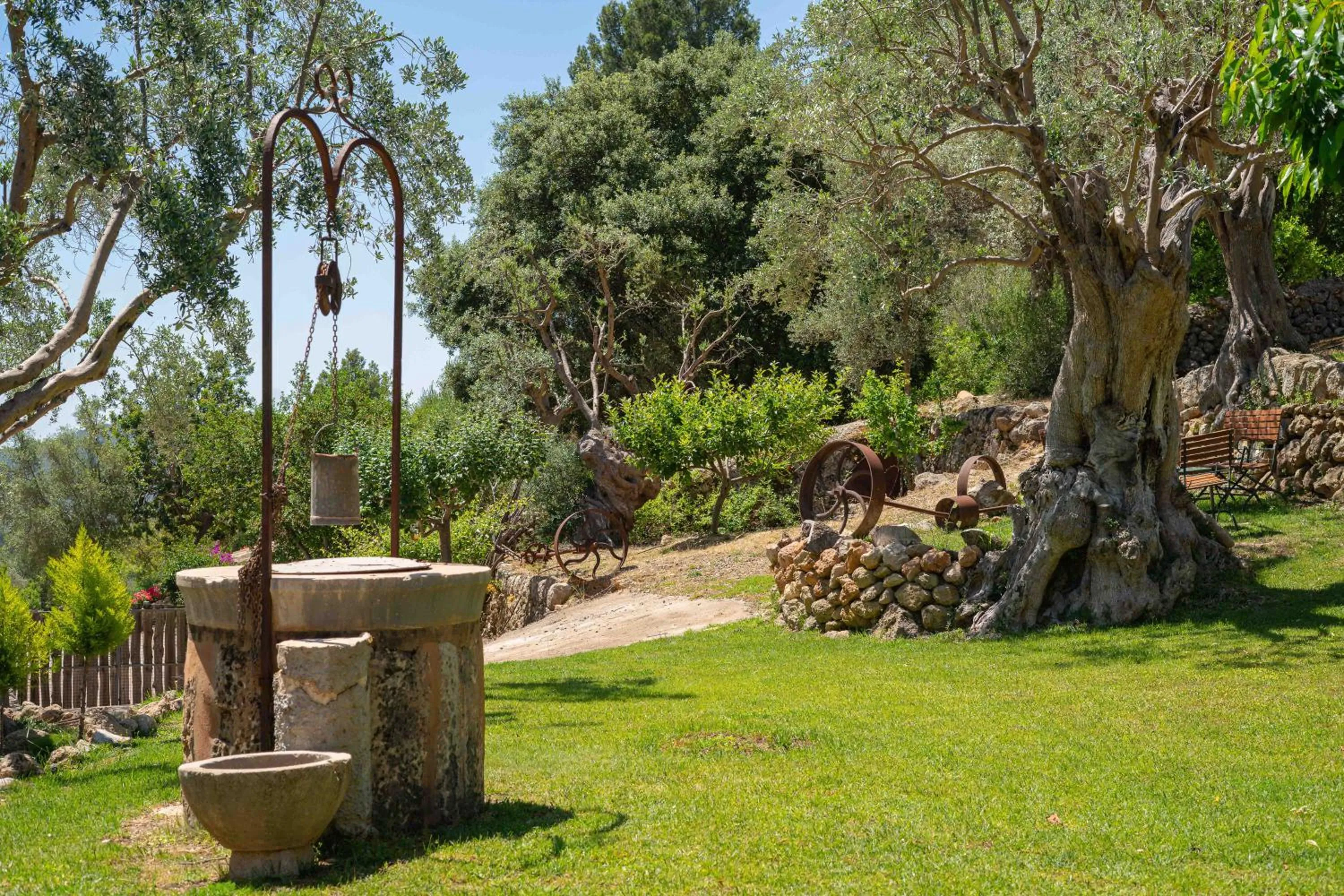 Spring in Hotel Rural S'Olivaret & Spa