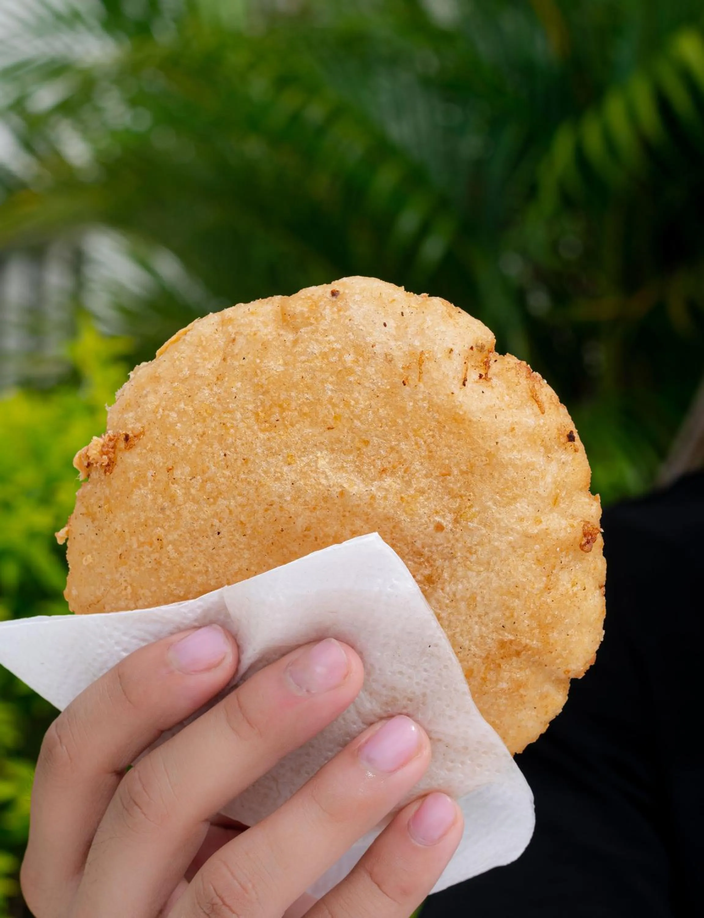 OASIS TROPICAL HOTEL