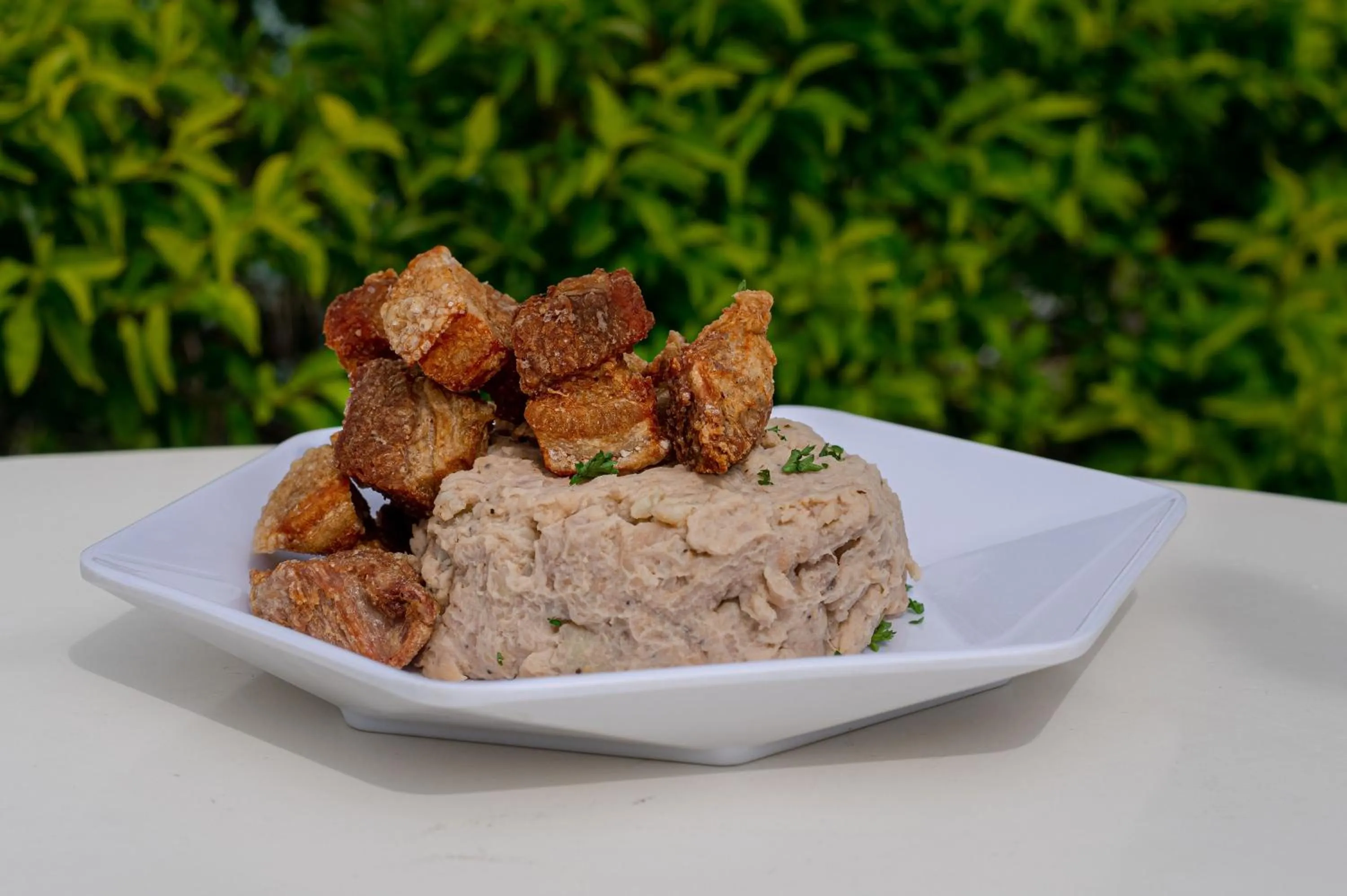 OASIS TROPICAL HOTEL