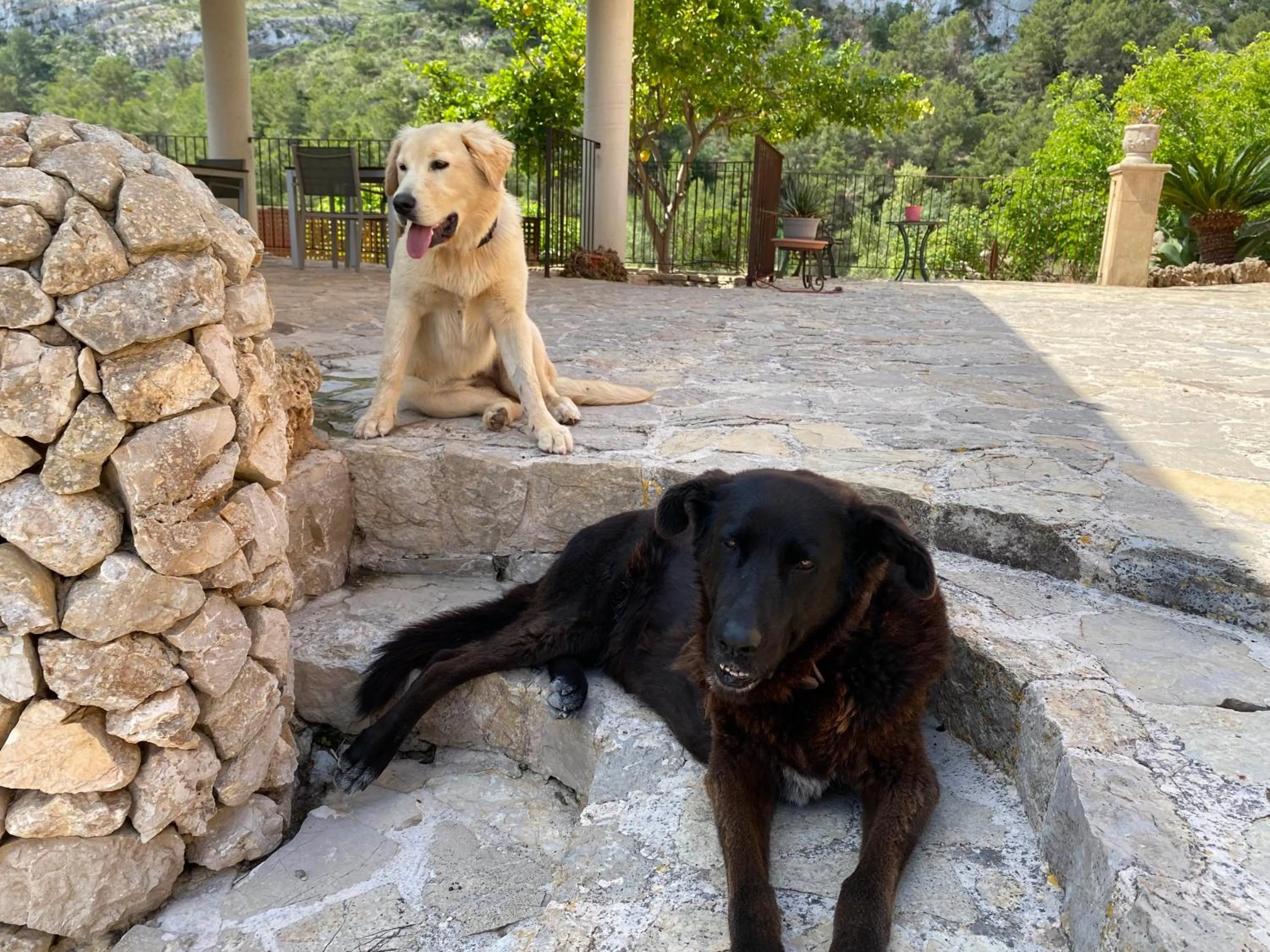 Family in Agroturisme Es Picot