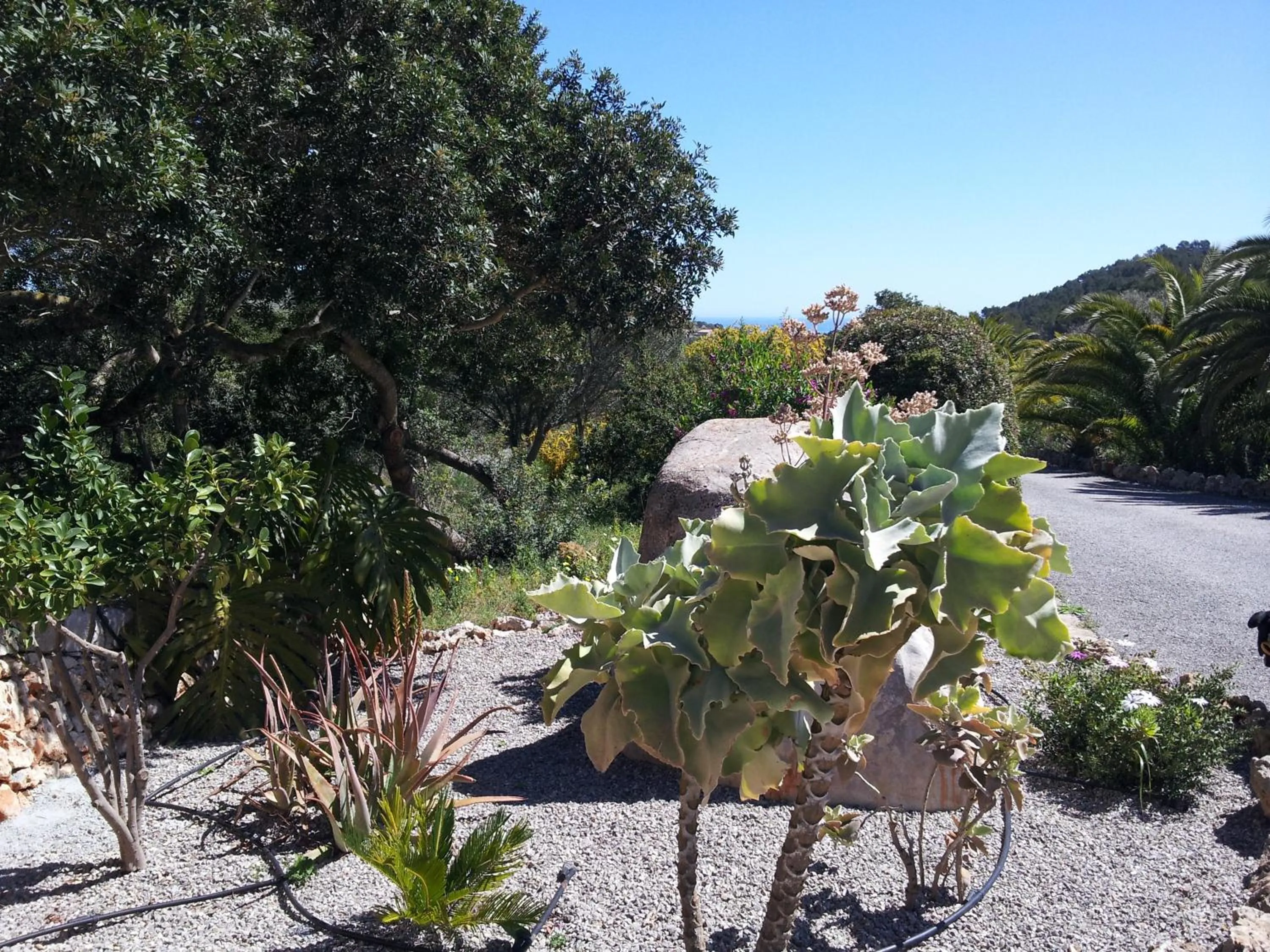 Day in Agroturisme Es Picot