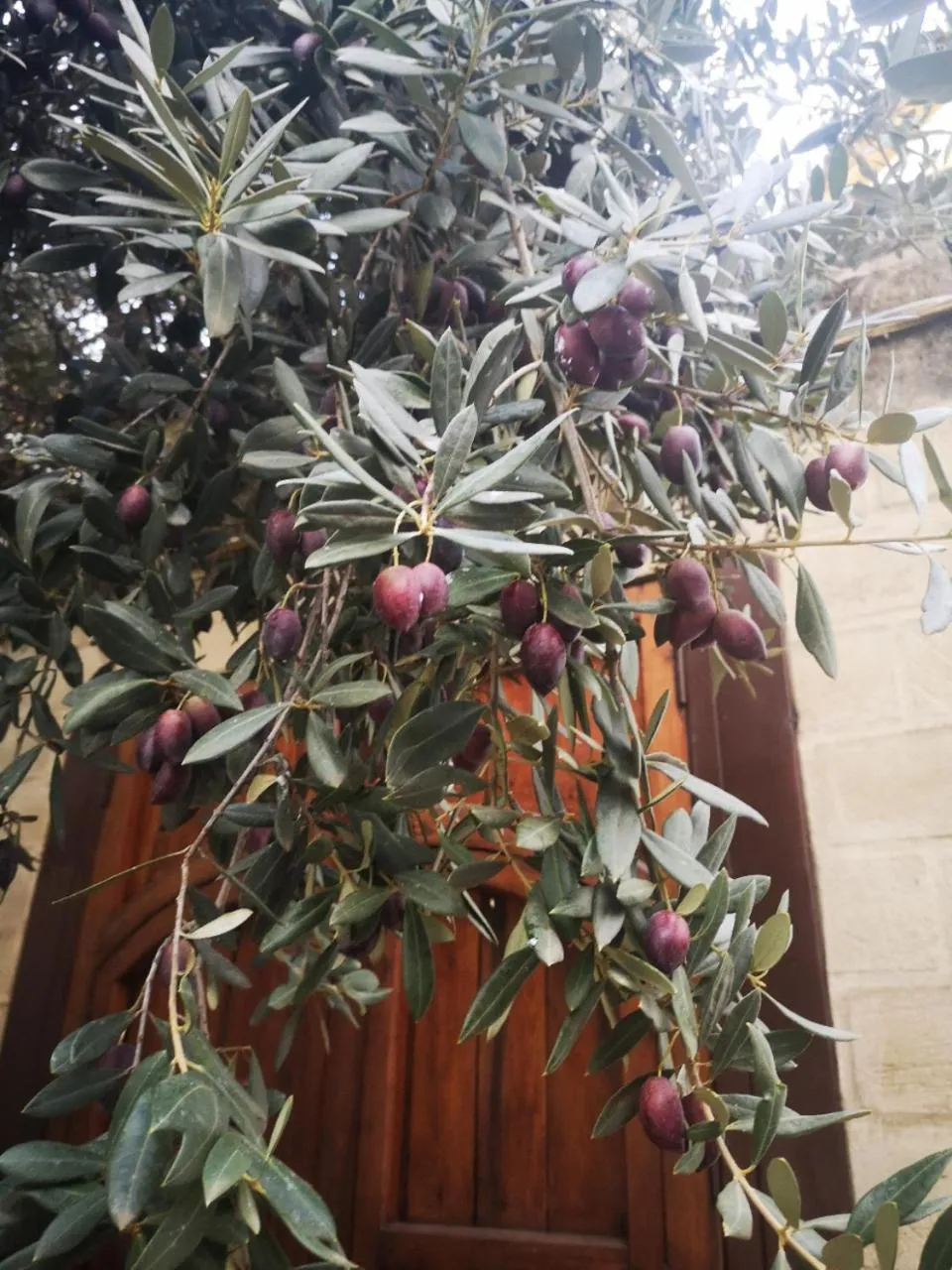 Patio in La Llave de la Judería Hotel Boutique