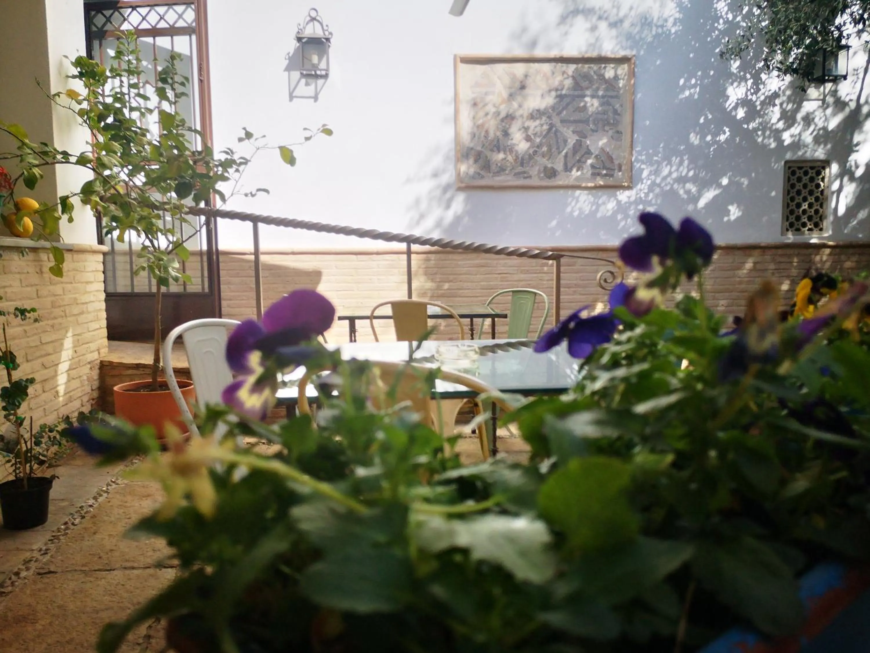 Patio in Hotel Boutique La Llave de la Judería