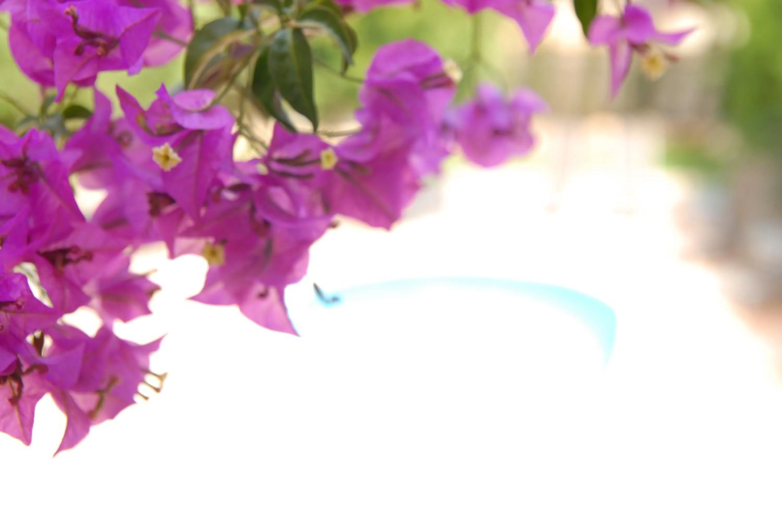 Property building in Protur Residencia Son Floriana