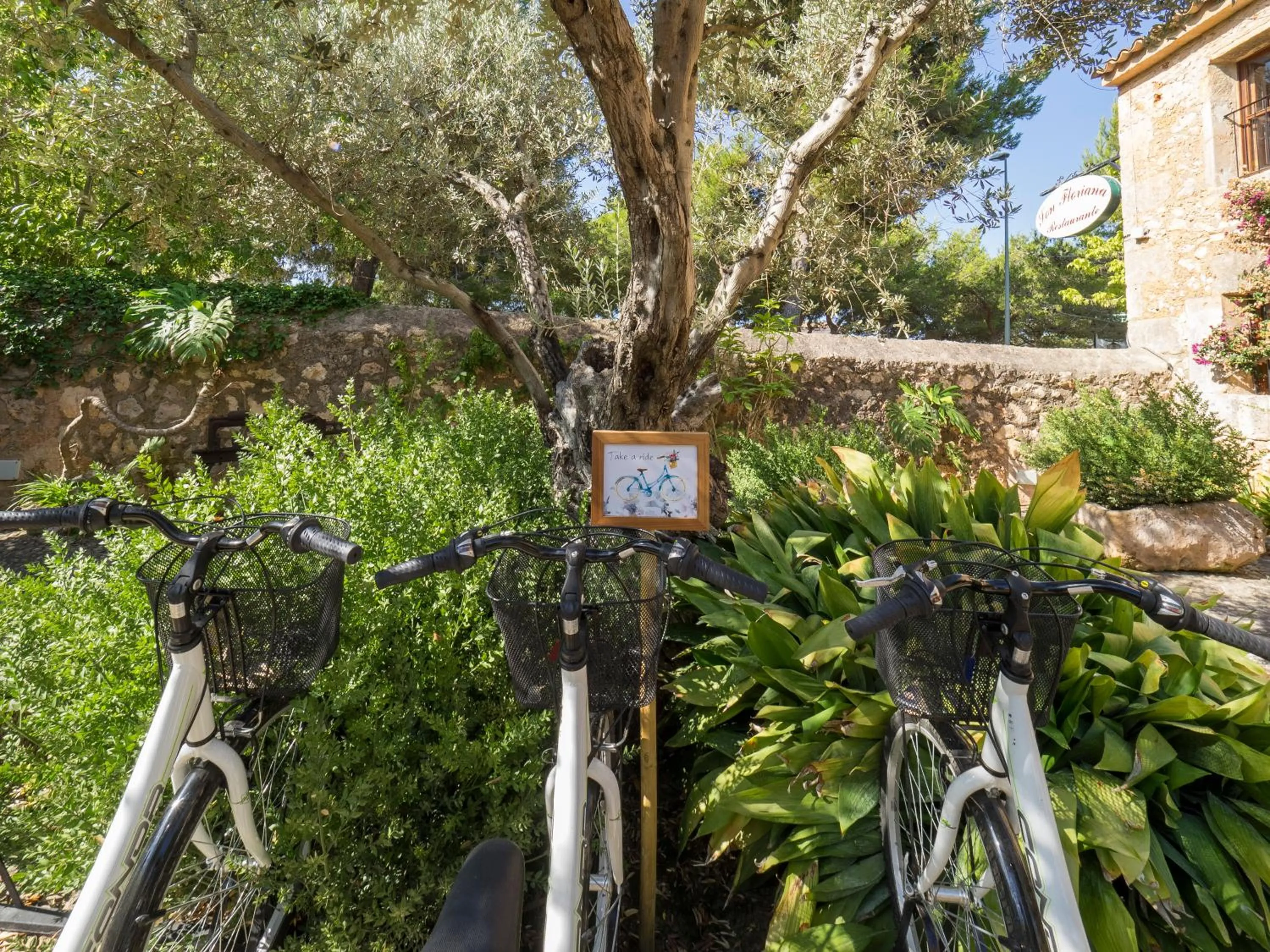 Activities in Protur Residencia Son Floriana