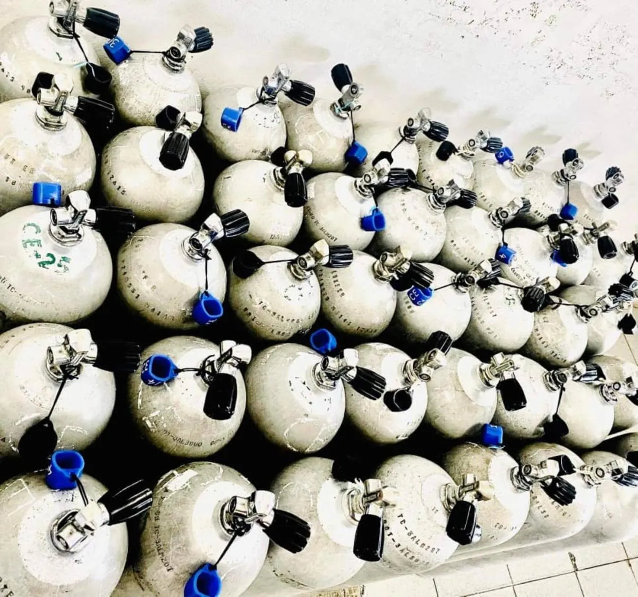 Diving in Boxinn The Kontena Home