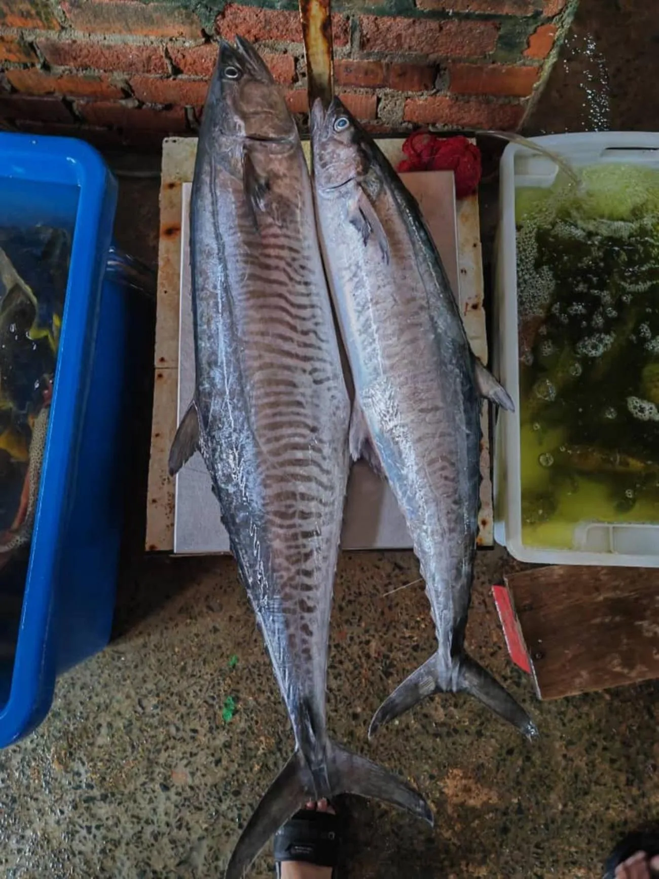 Restaurant/places to eat in Boxinn The Kontena Home