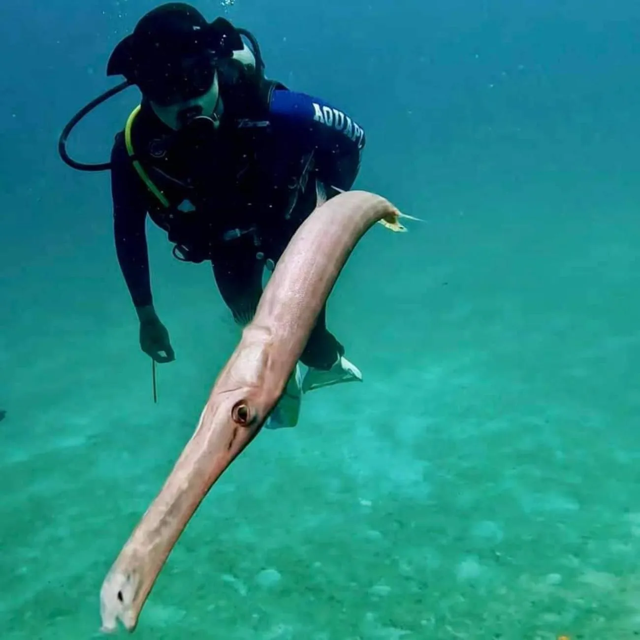 Natural landscape in Boxinn The Kontena Home