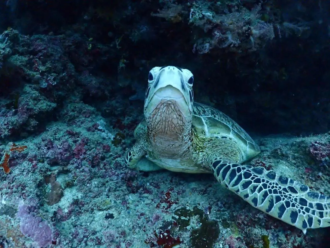 Natural landscape in Boxinn The Kontena Home