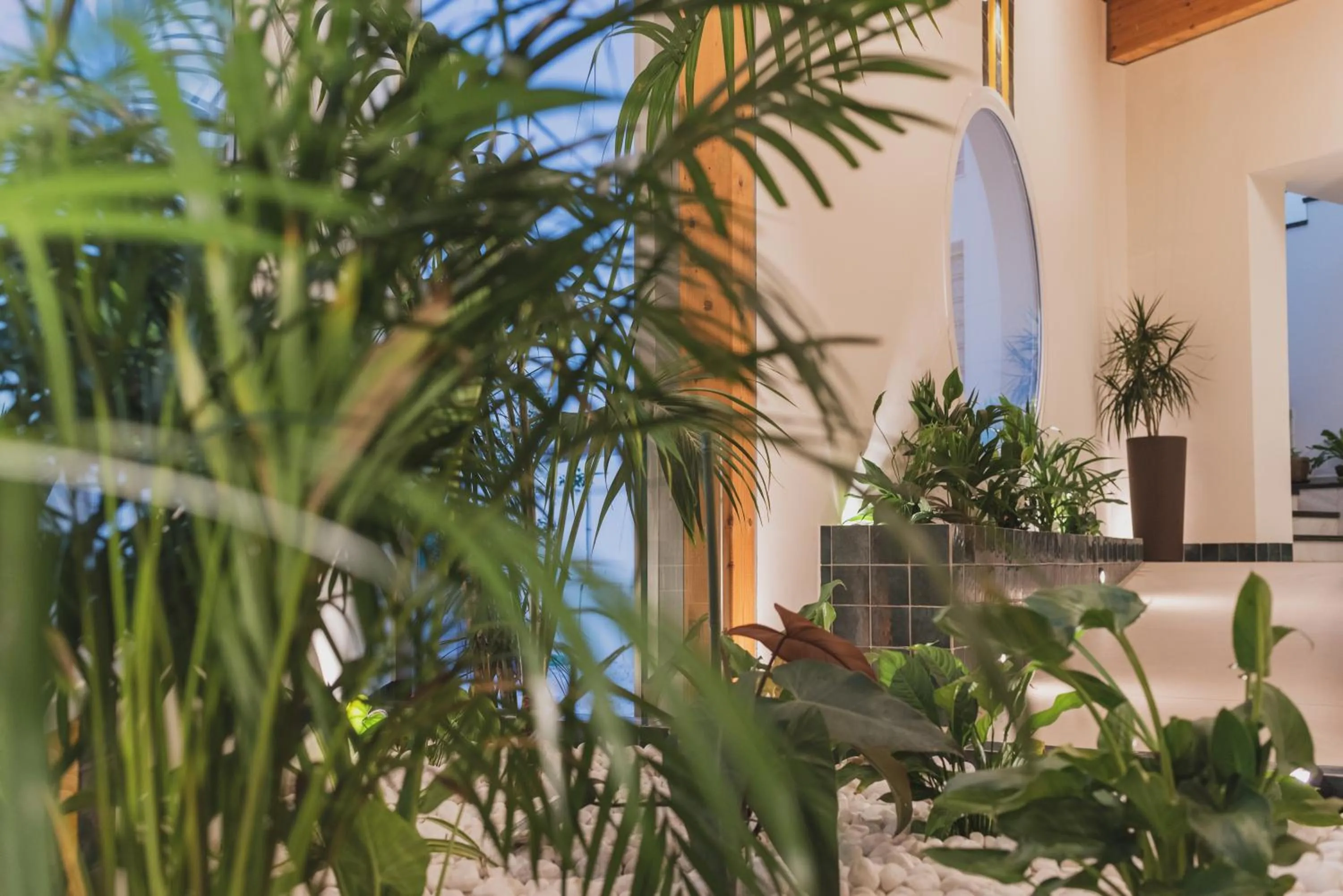 Patio in Hotel Pradillo Conil