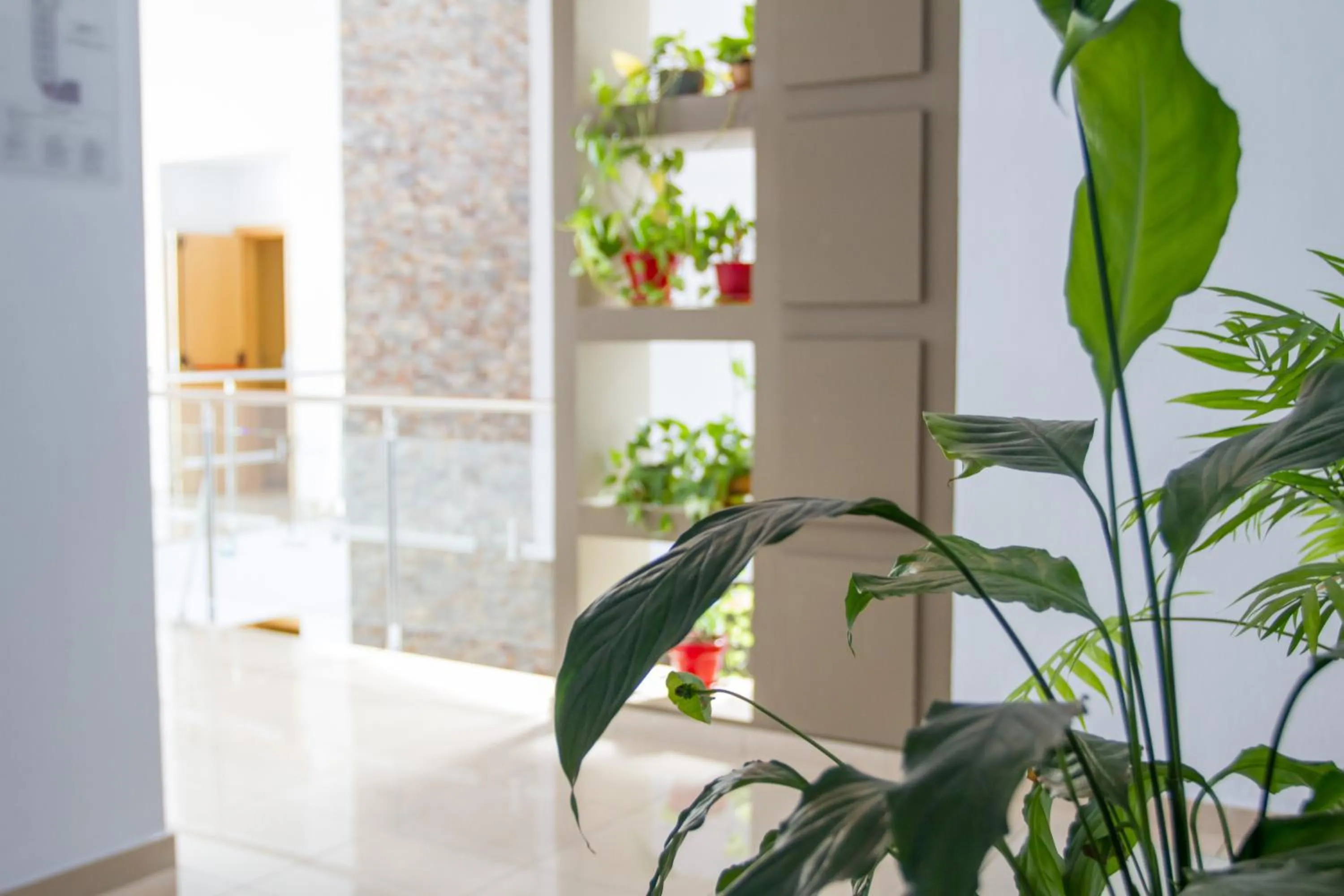 Area and facilities in Hotel Pradillo Conil