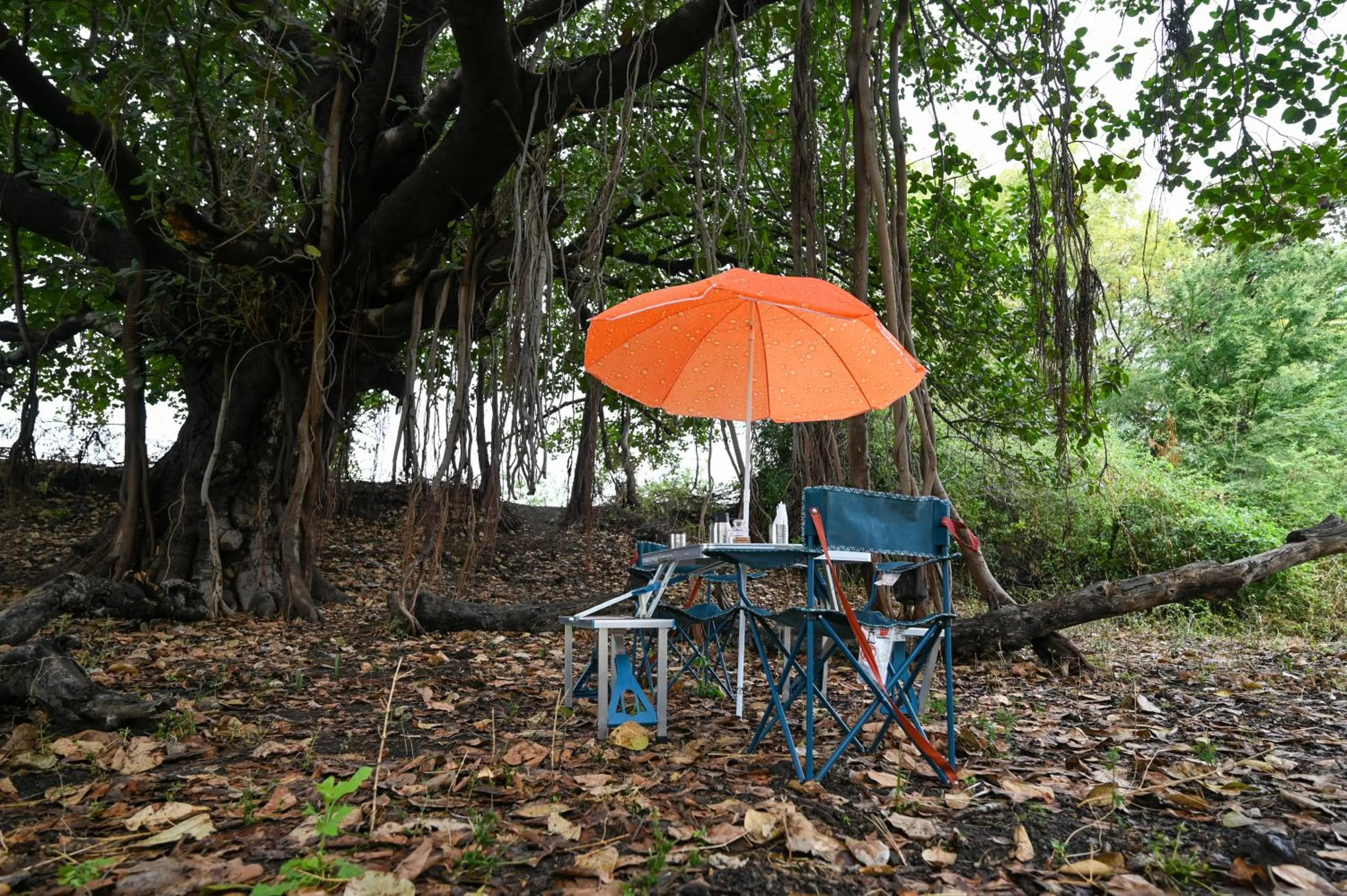Day in Clarks Safari Jawai