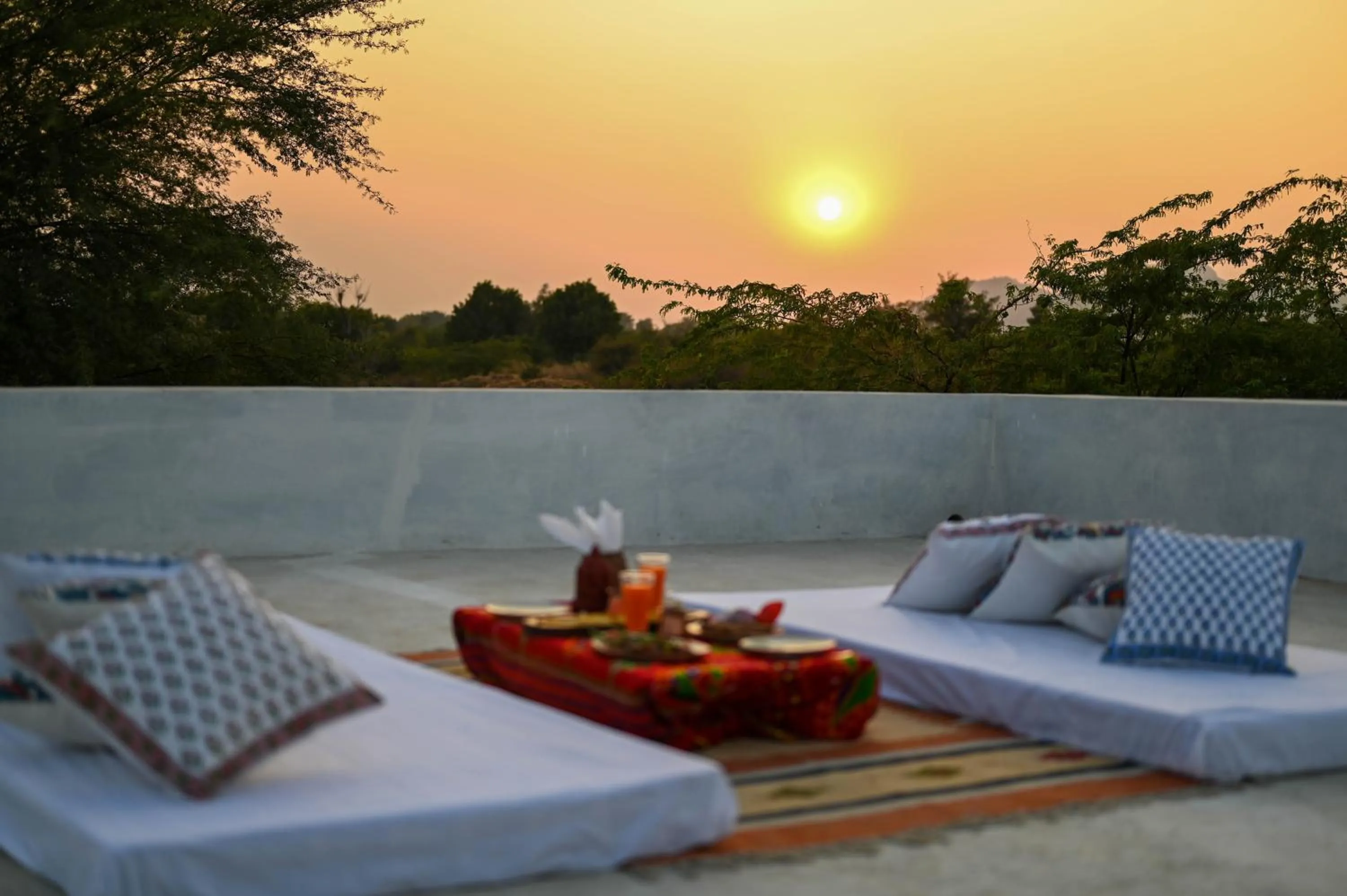 View (from property/room) in Clarks Safari Jawai