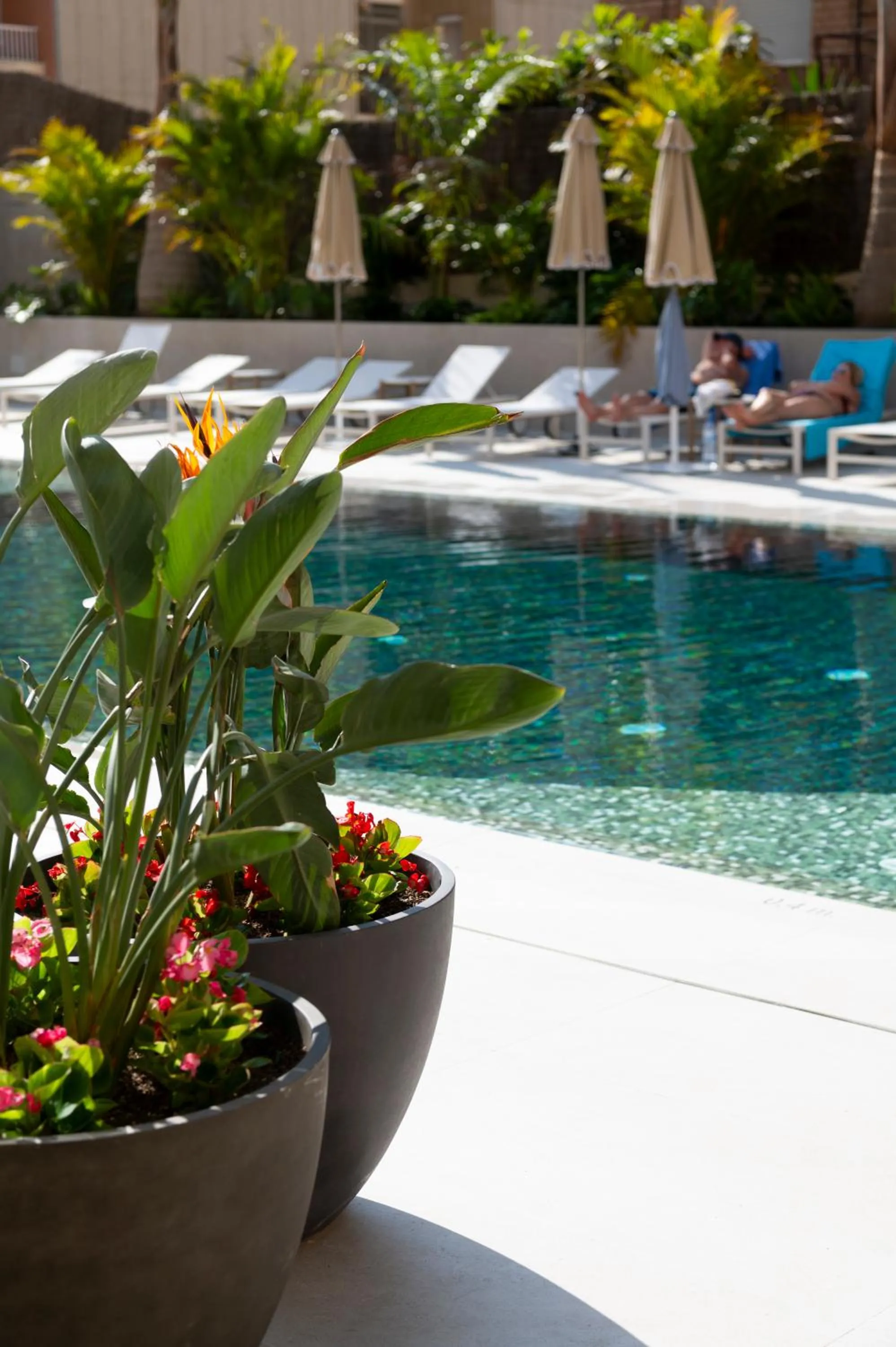 Swimming pool in AQUA Hotel Promenade & Spa 4Sup