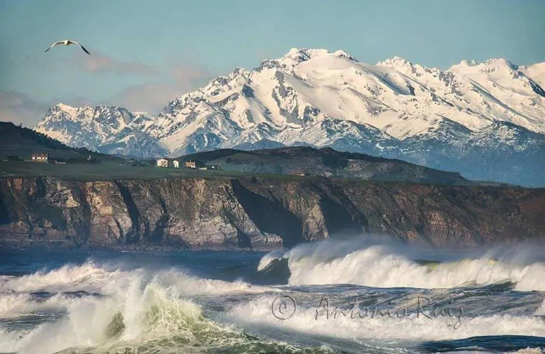 Other in Hotel Mar Azul & Surf