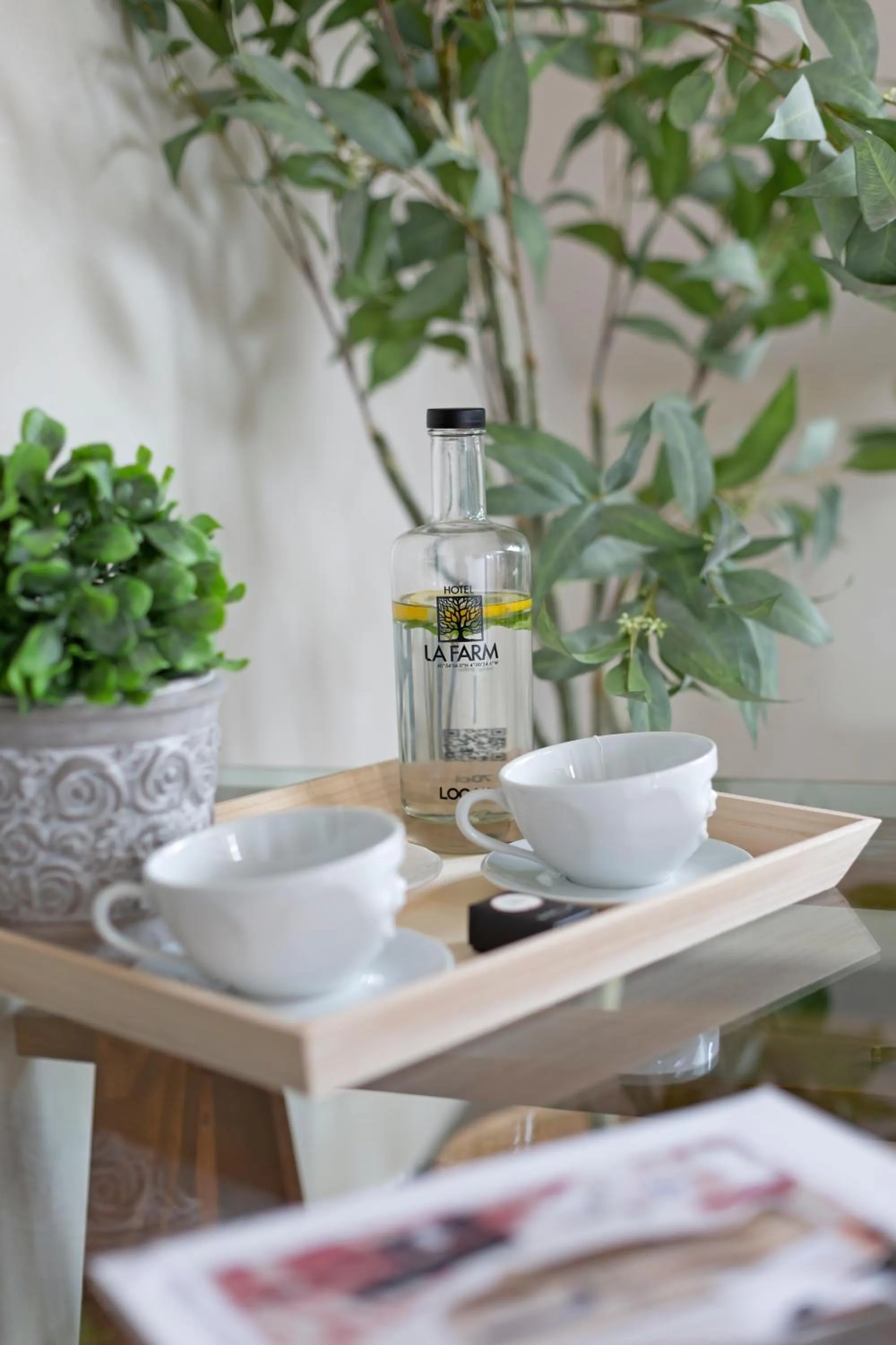 Decorative detail in Hospedium Hotel La Farm