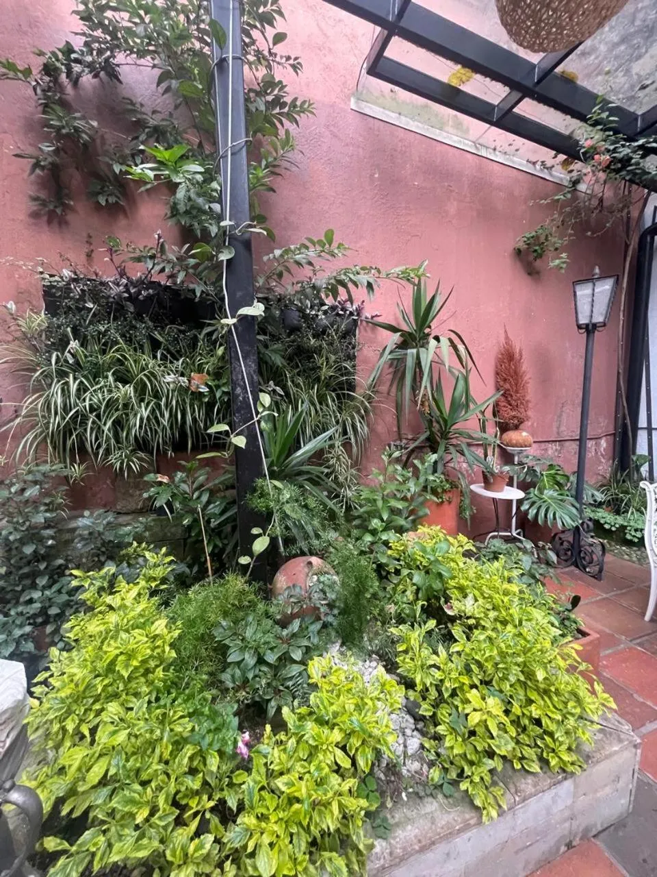 Garden in Hotel Casa de la Luz
