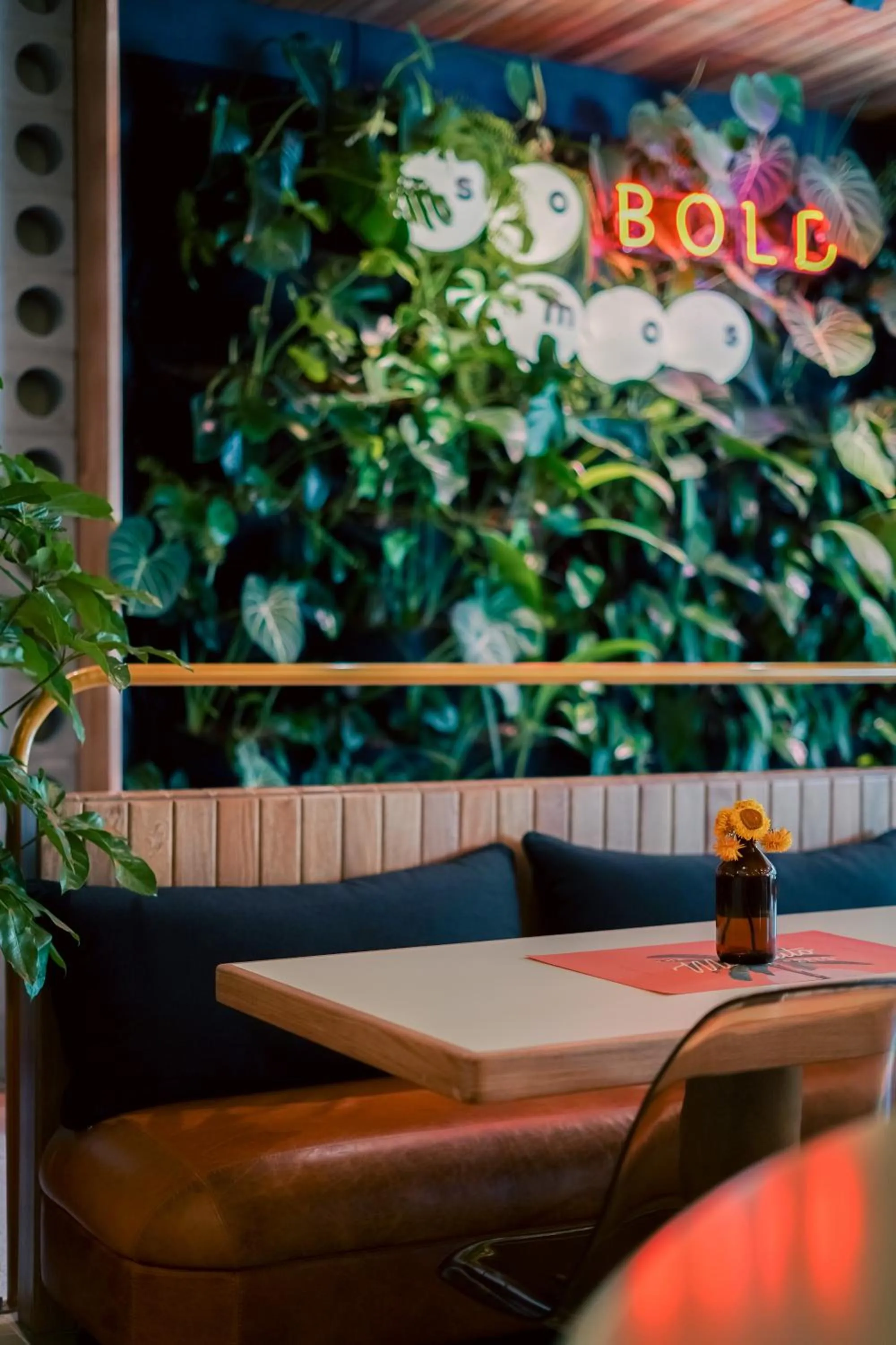 Restaurant/places to eat in The Somos Bold Hotel