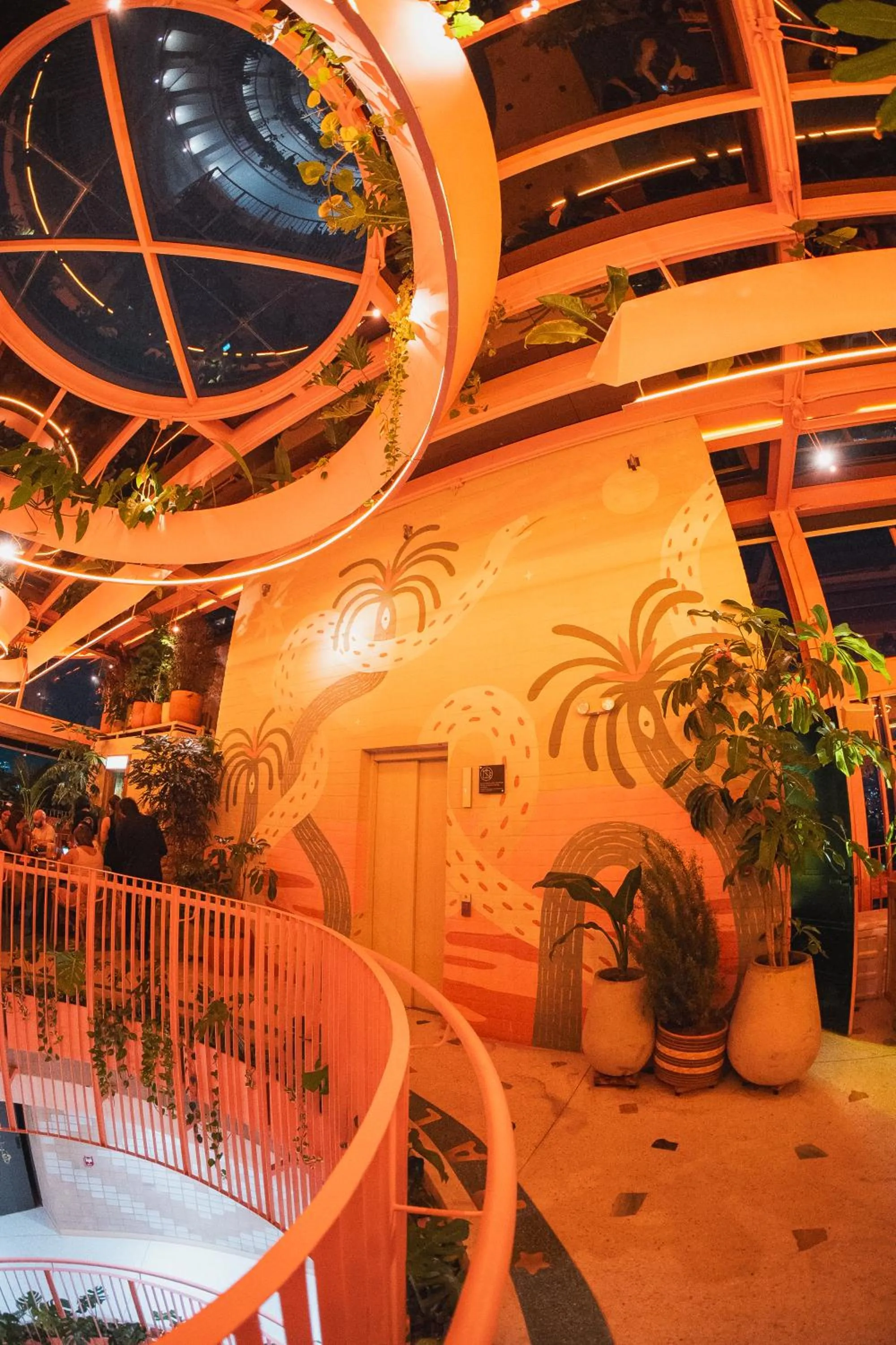 Night in The Somos Bold Hotel