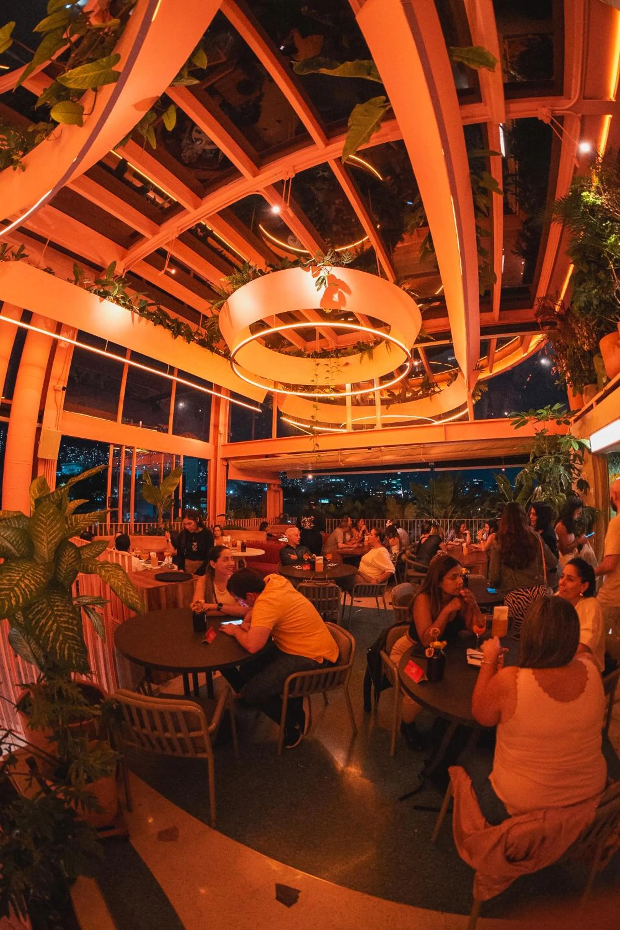 Restaurant/places to eat in The Somos Bold Hotel