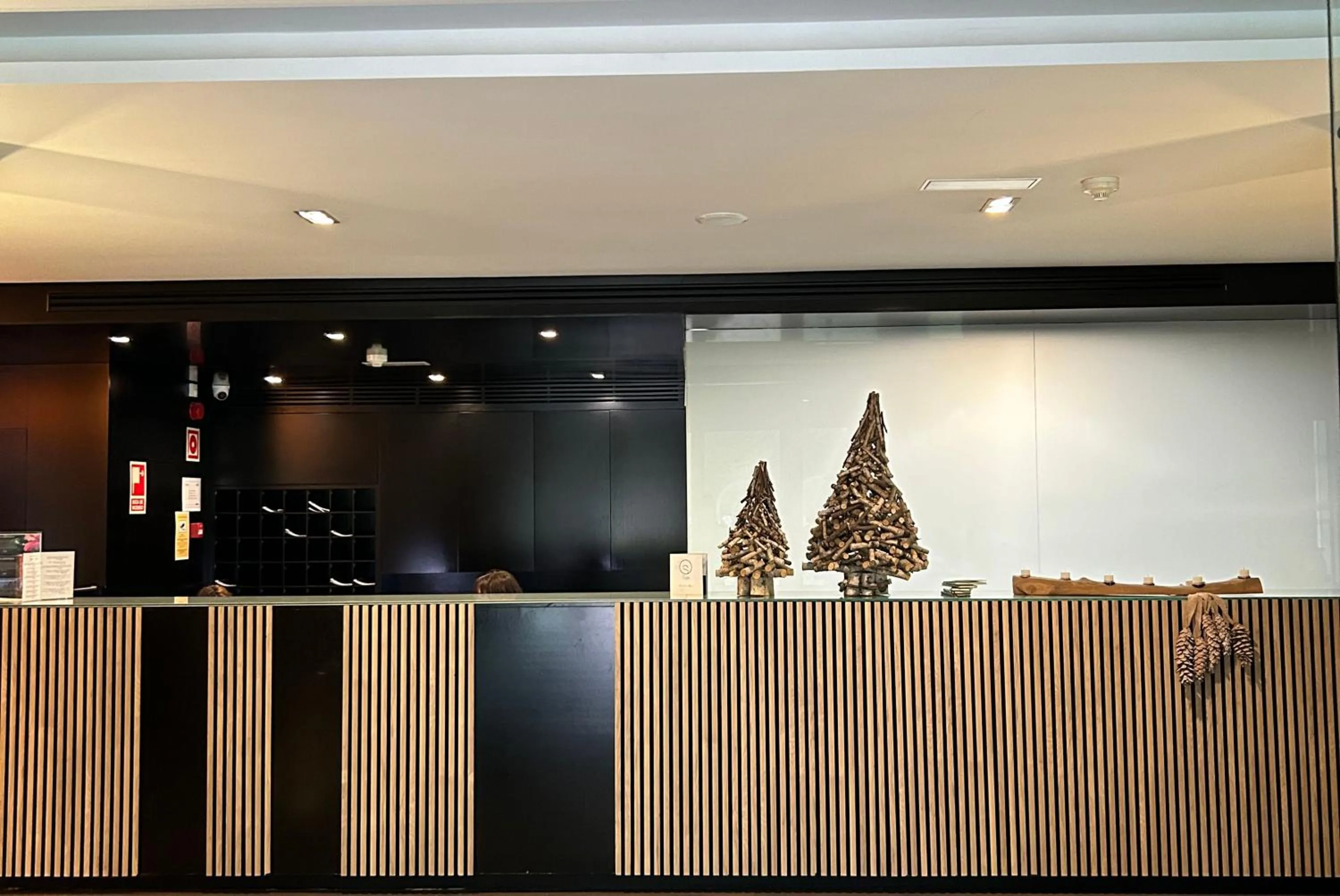 Lobby or reception in Aparthotel Siente Boí & SPA