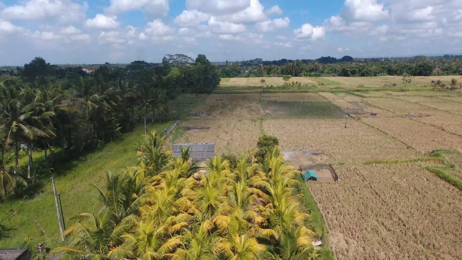 Natural landscape in SUARA SIDHI Villa Ubud Bali