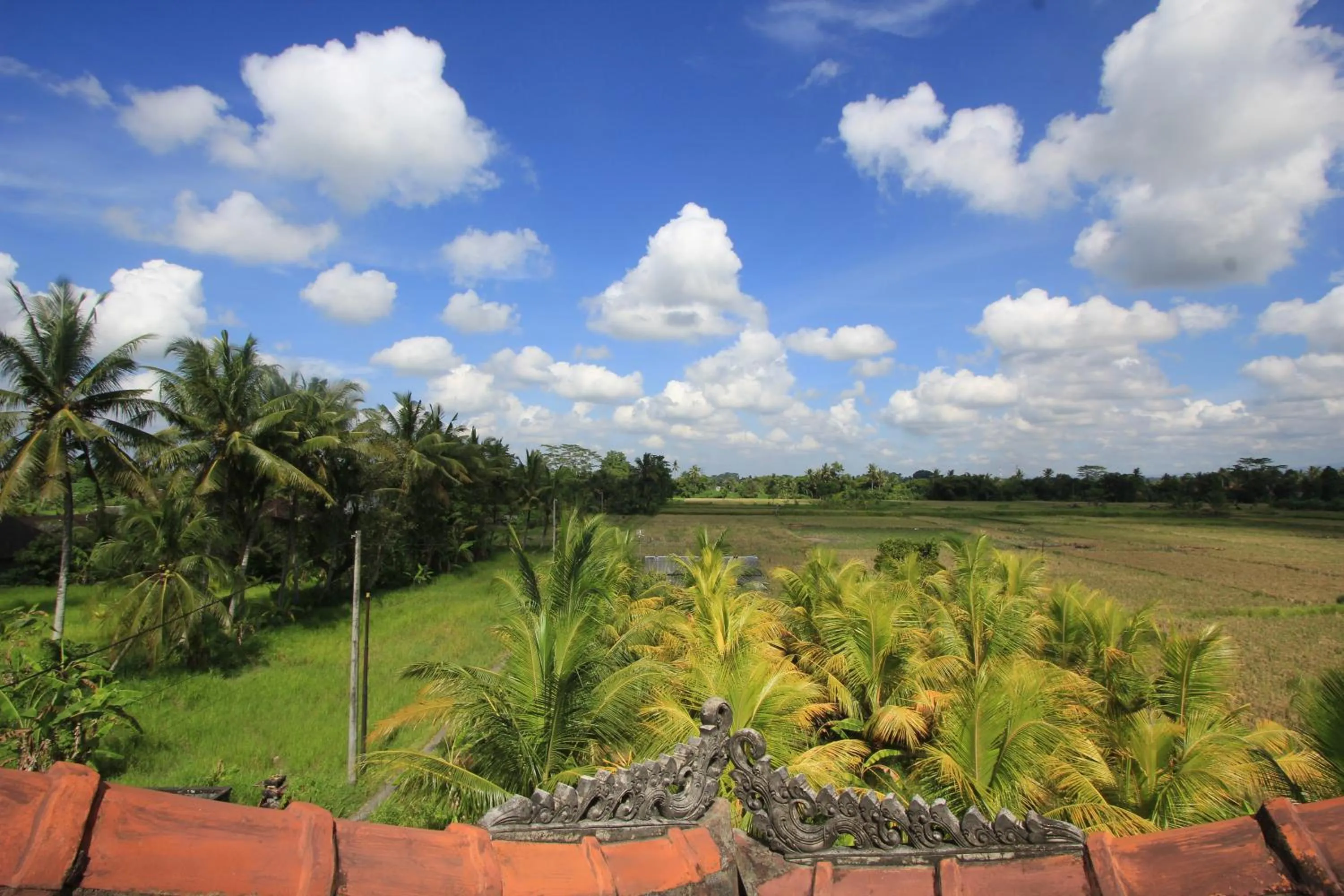 Natural landscape in SUARA SIDHI Villa Ubud Bali