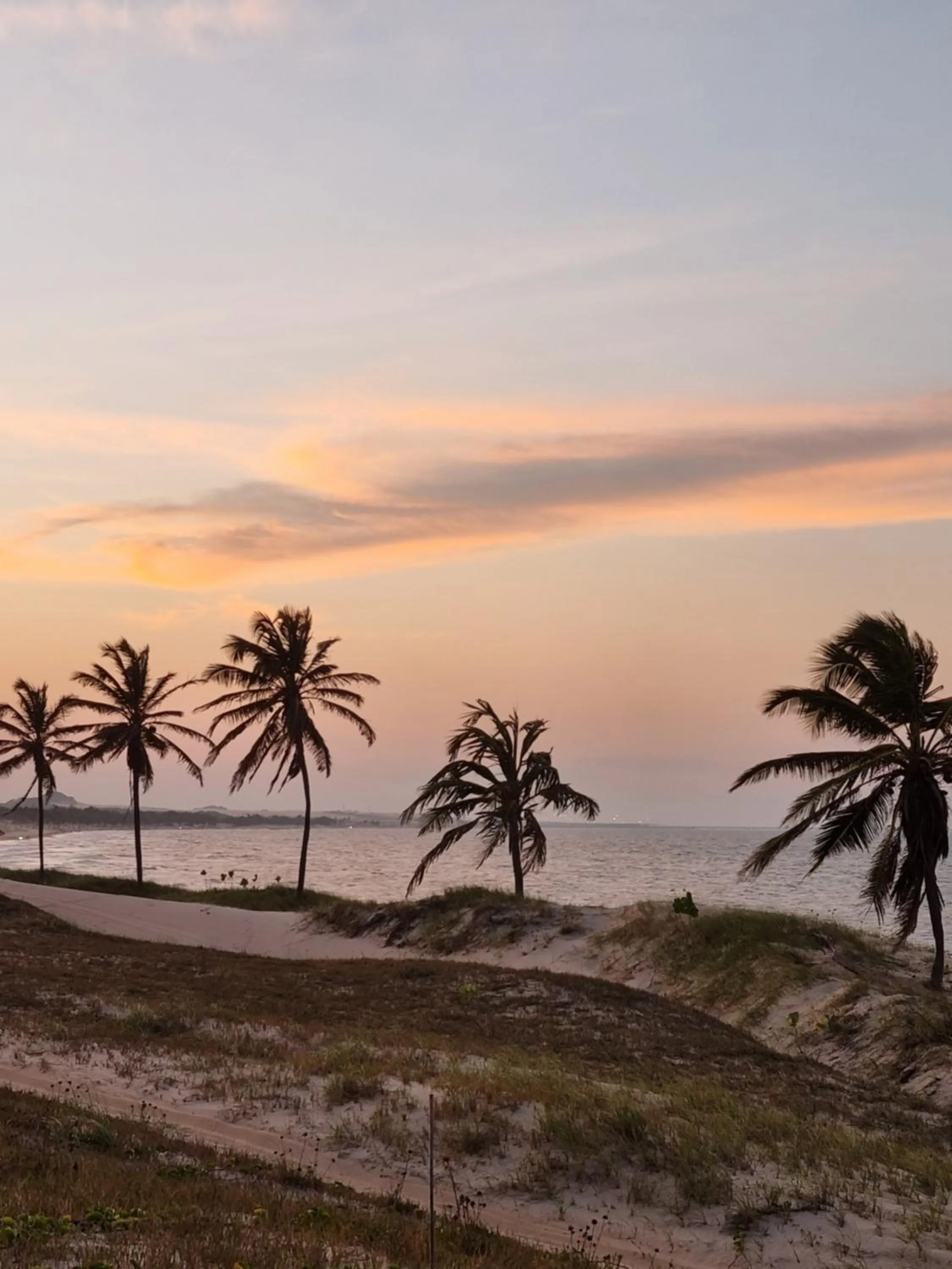 Natural landscape in Casa Ferreira Cumbuco