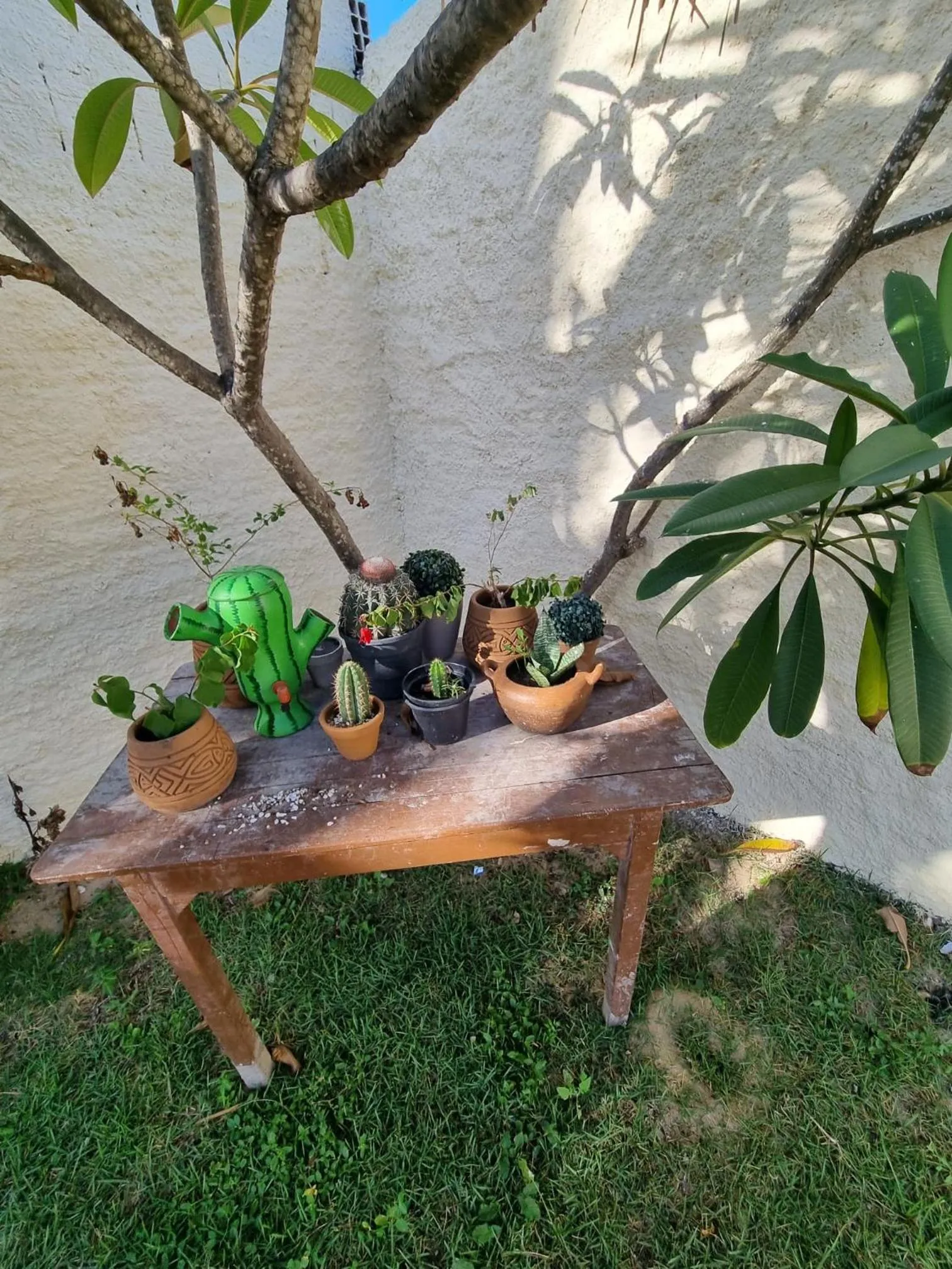 Garden in Casa Ferreira Cumbuco