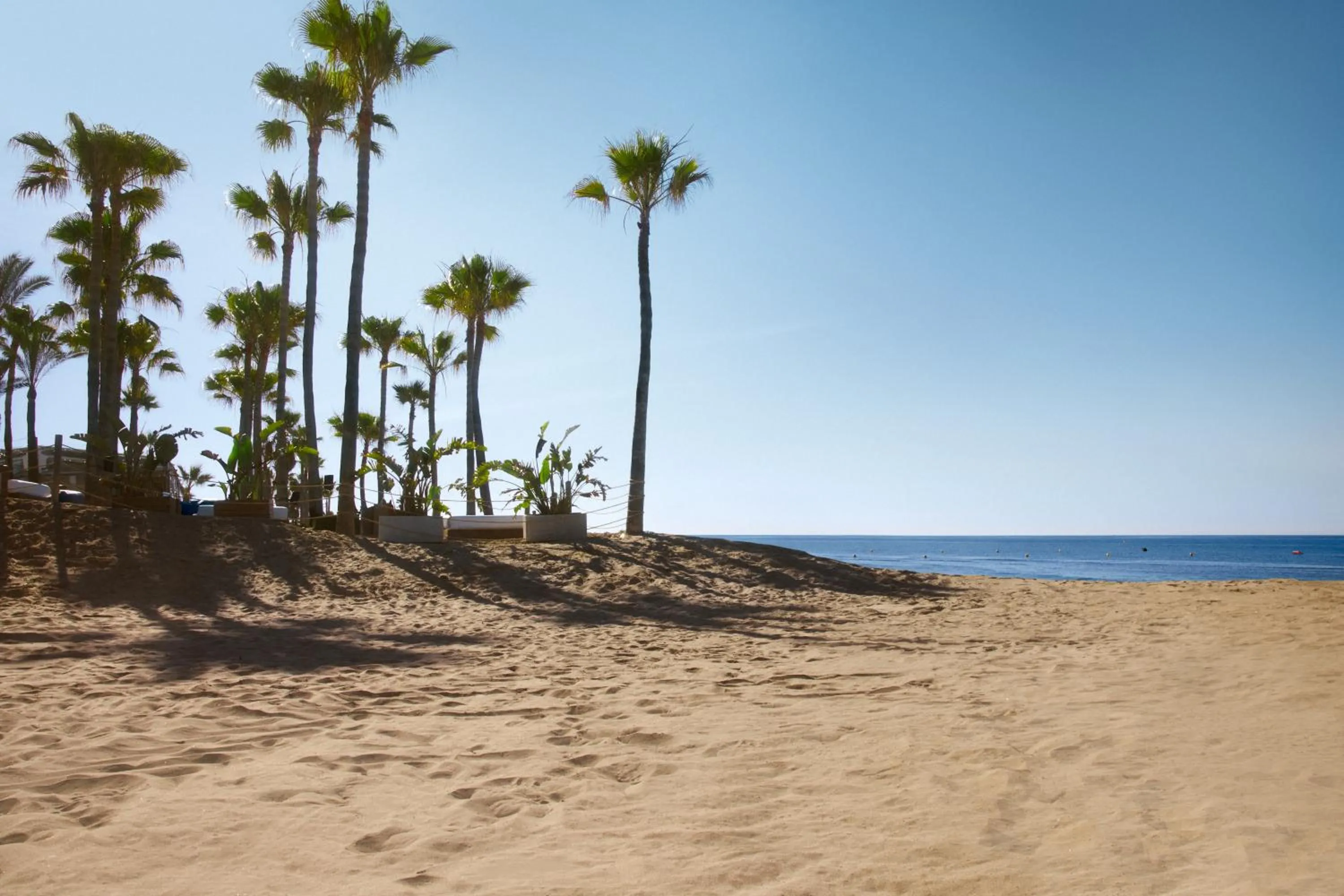 Natural landscape in Don Carlos Marbella